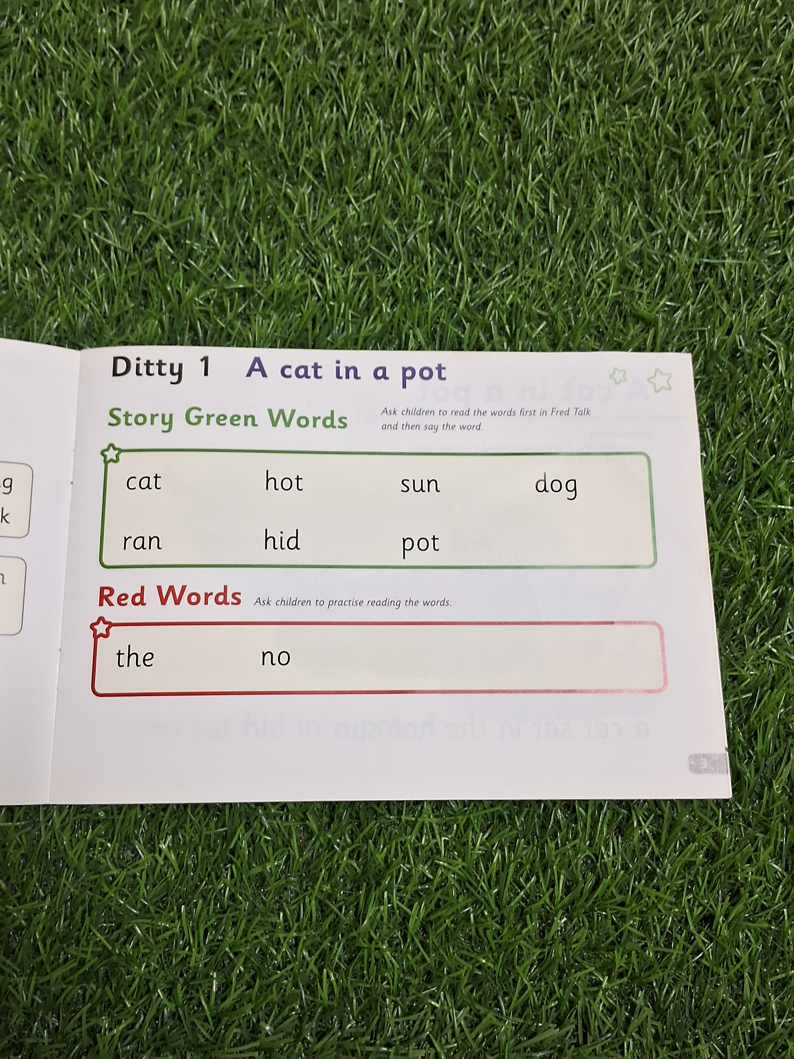 Phonics - A Cat in a Pot -  Very Good Condition Paperback