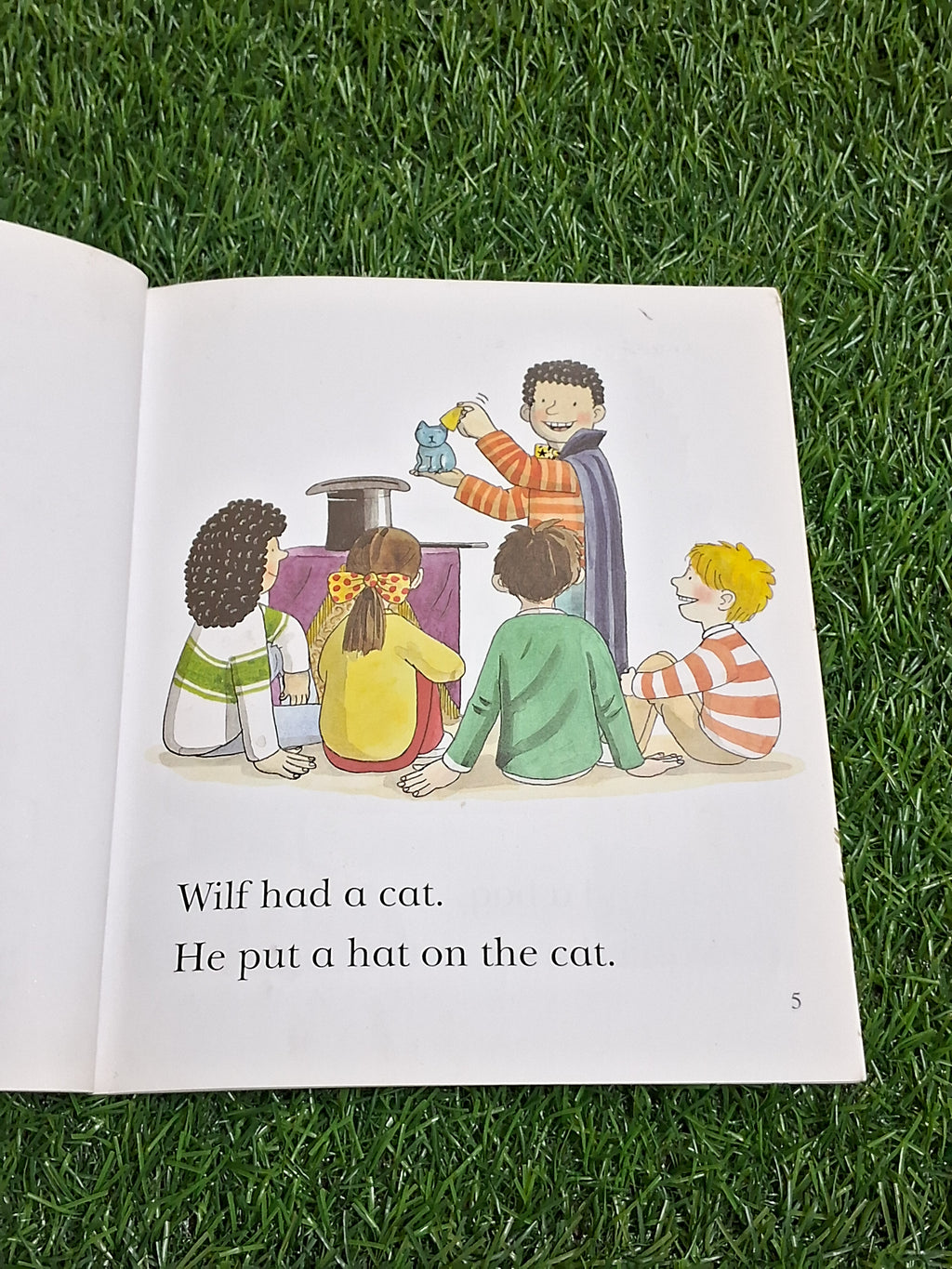 READ WITH BIFF CHIP & KIPPER - CAT IN A BAG - Excellent Condition Paperback