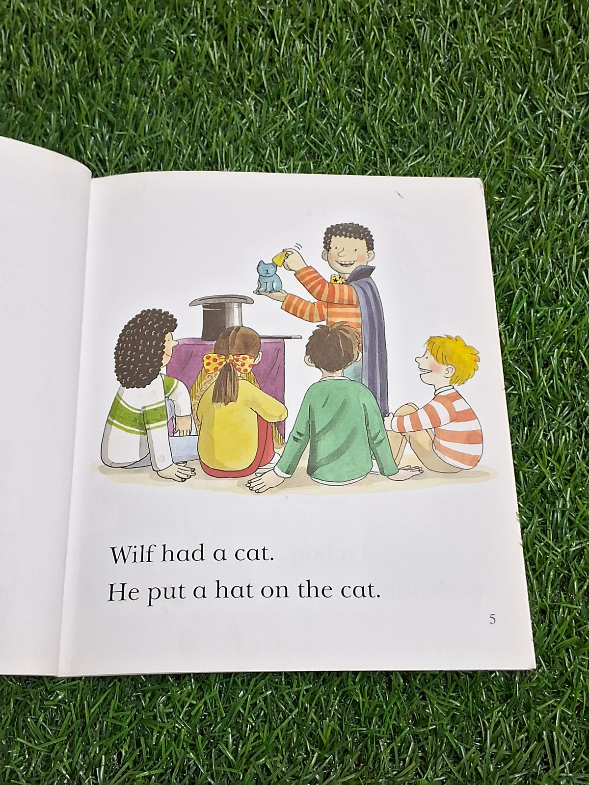 READ WITH BIFF CHIP & KIPPER - CAT IN A BAG - Excellent Condition Paperback
