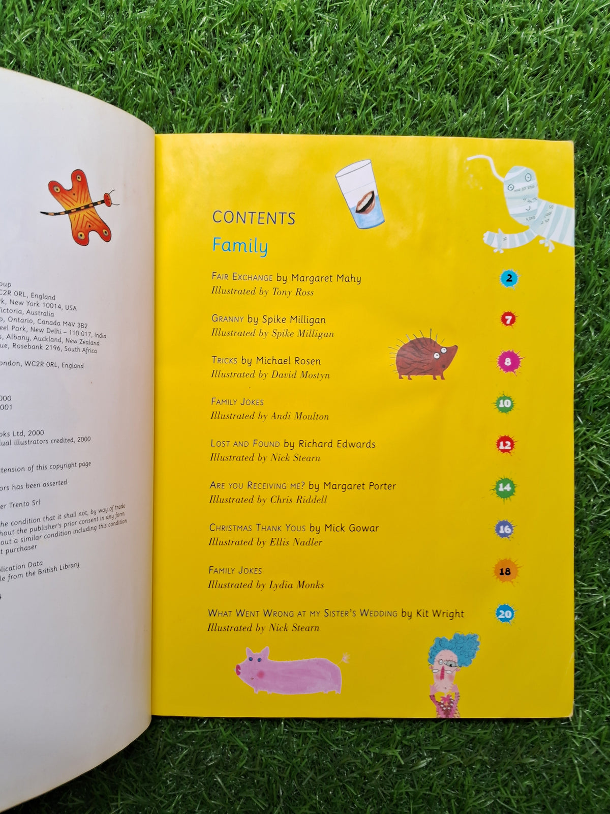 Puffin book -  Average Condition Paperback