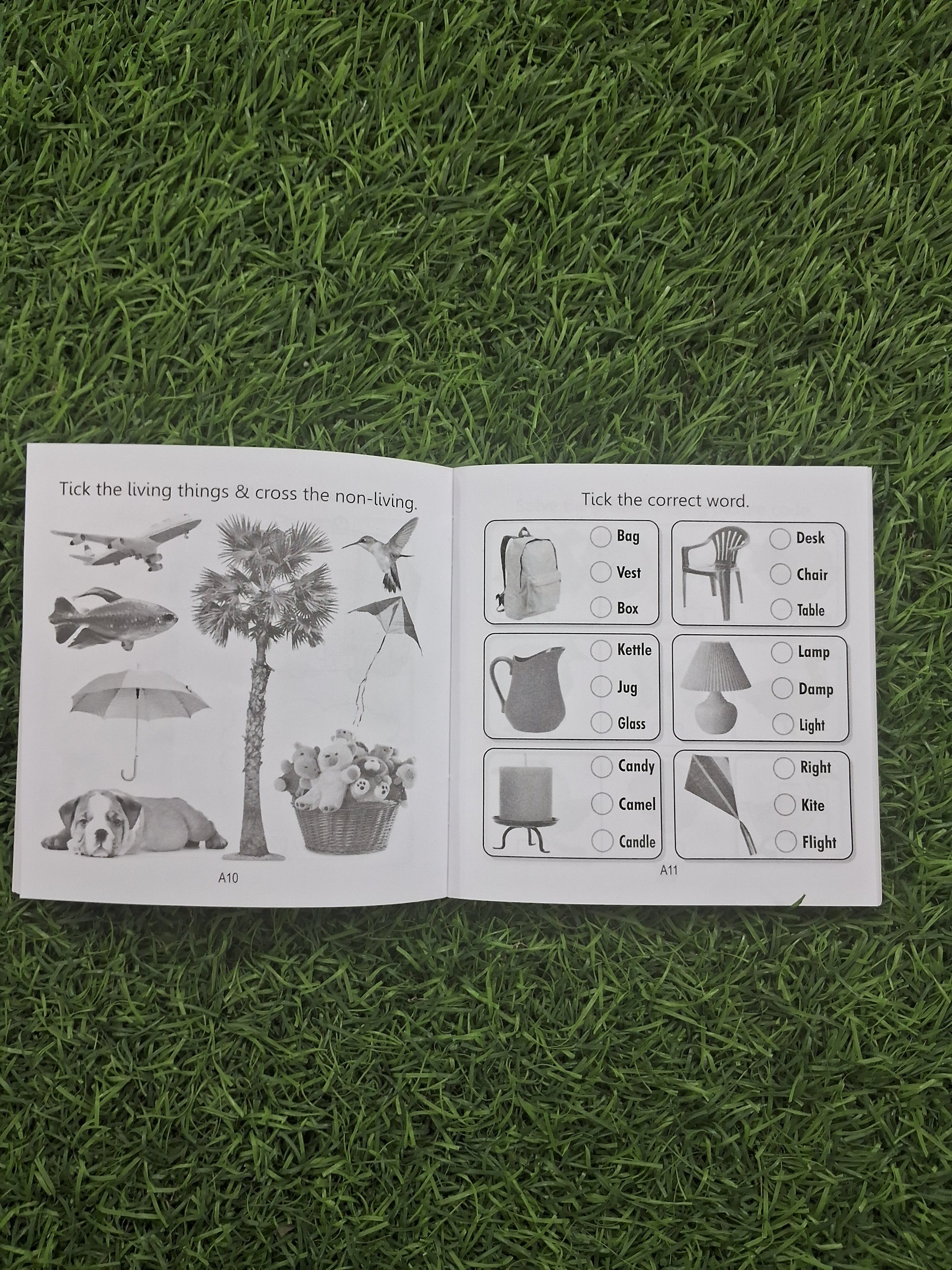 My Little Book of Activities - 4 Books Combo