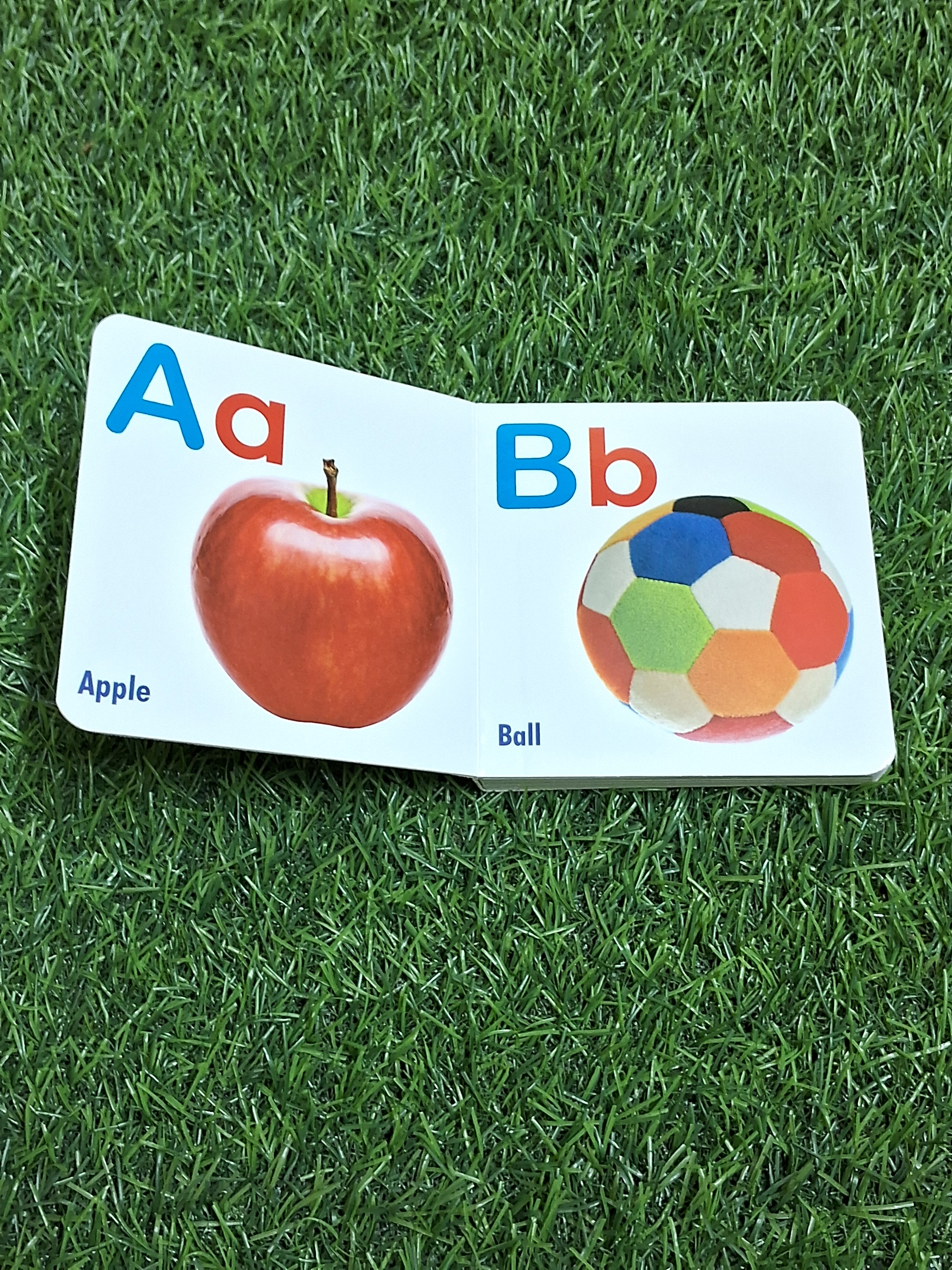 Alphabet - My Little Board Book