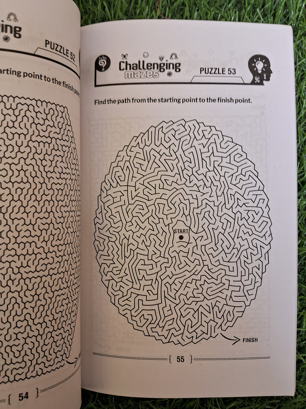 Challenging mazes - Challenging Books