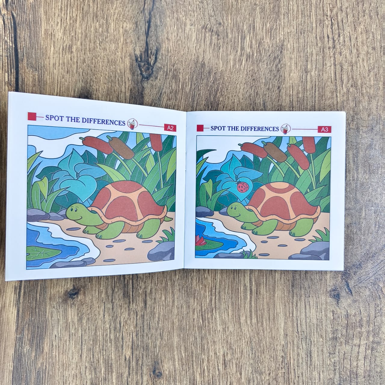 My Little Book of Spot the Differences - Combo of 4 Books