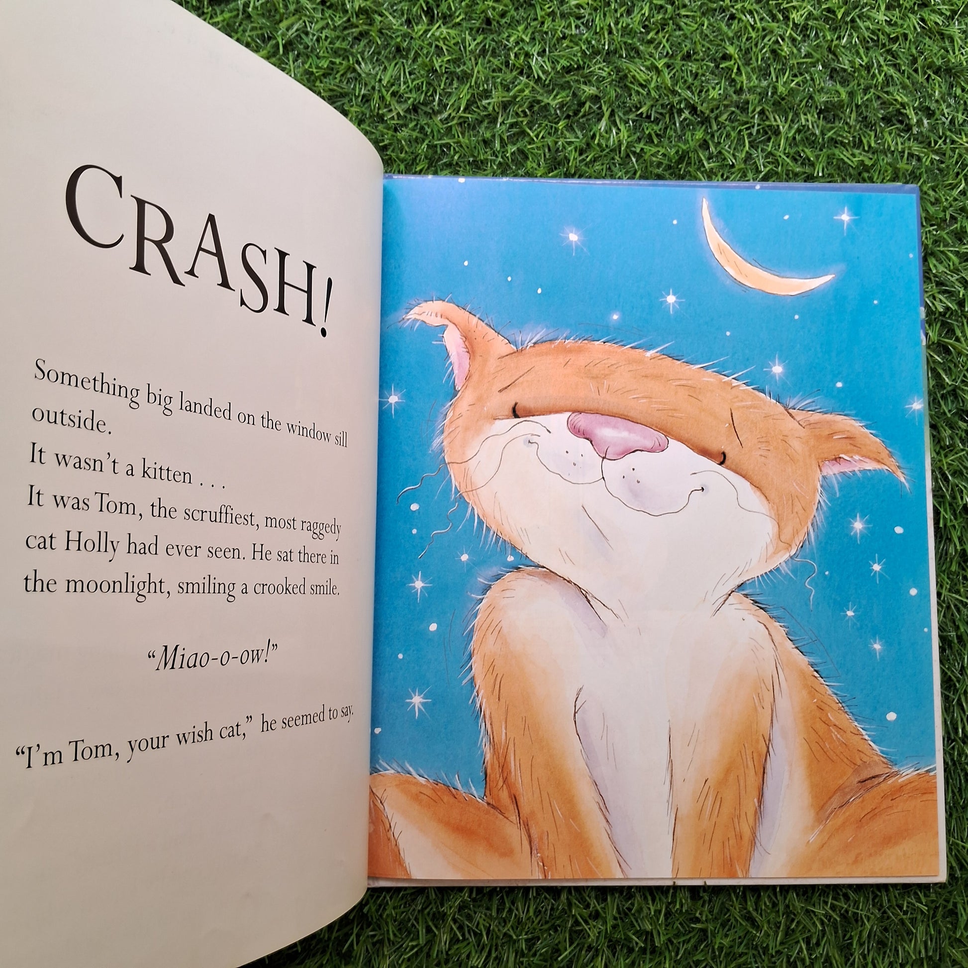 The wish cat - Very Good Condition Hardcover