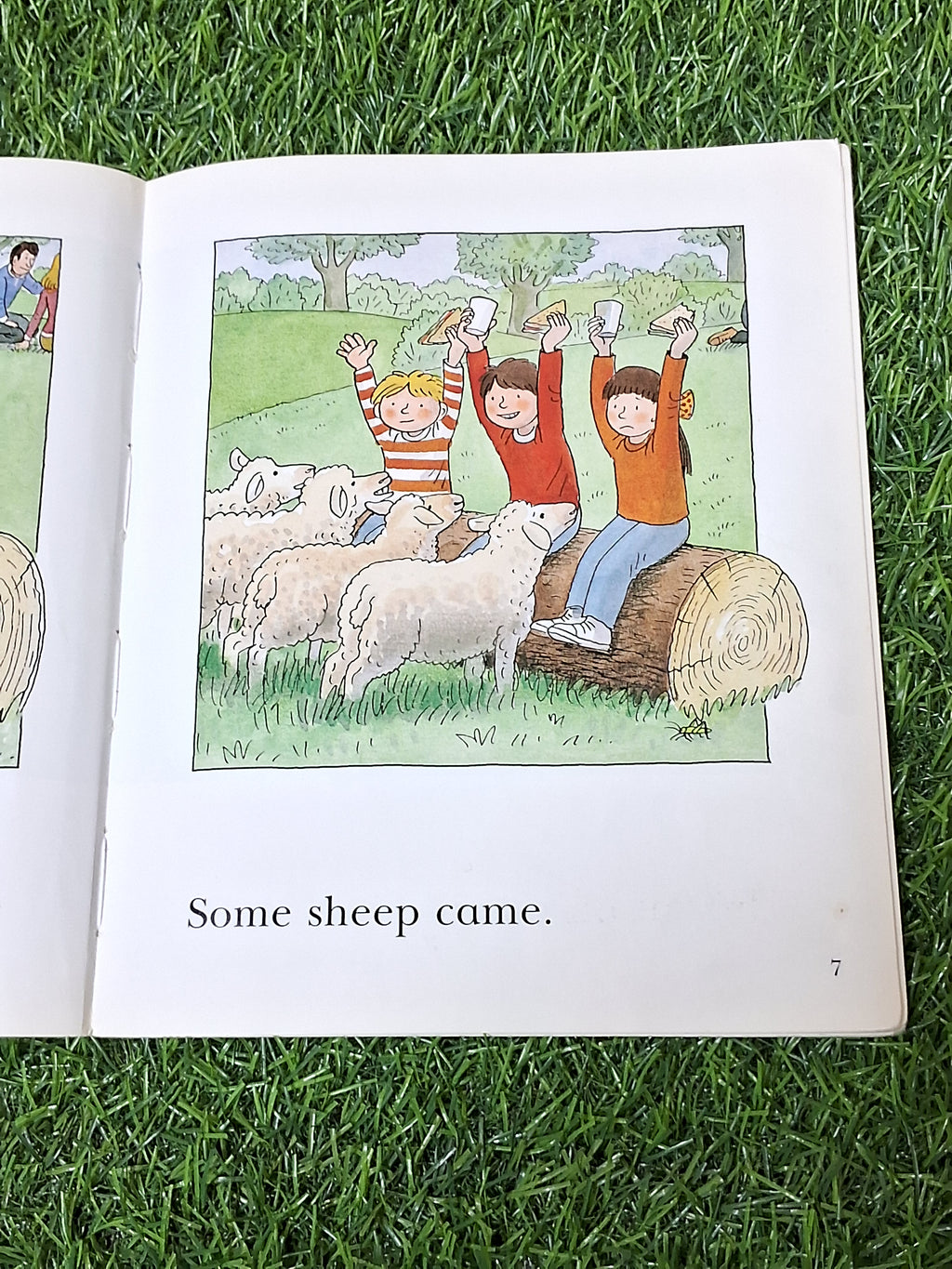 Read at Home - Picnic Time -  Very Good Condition Paperback