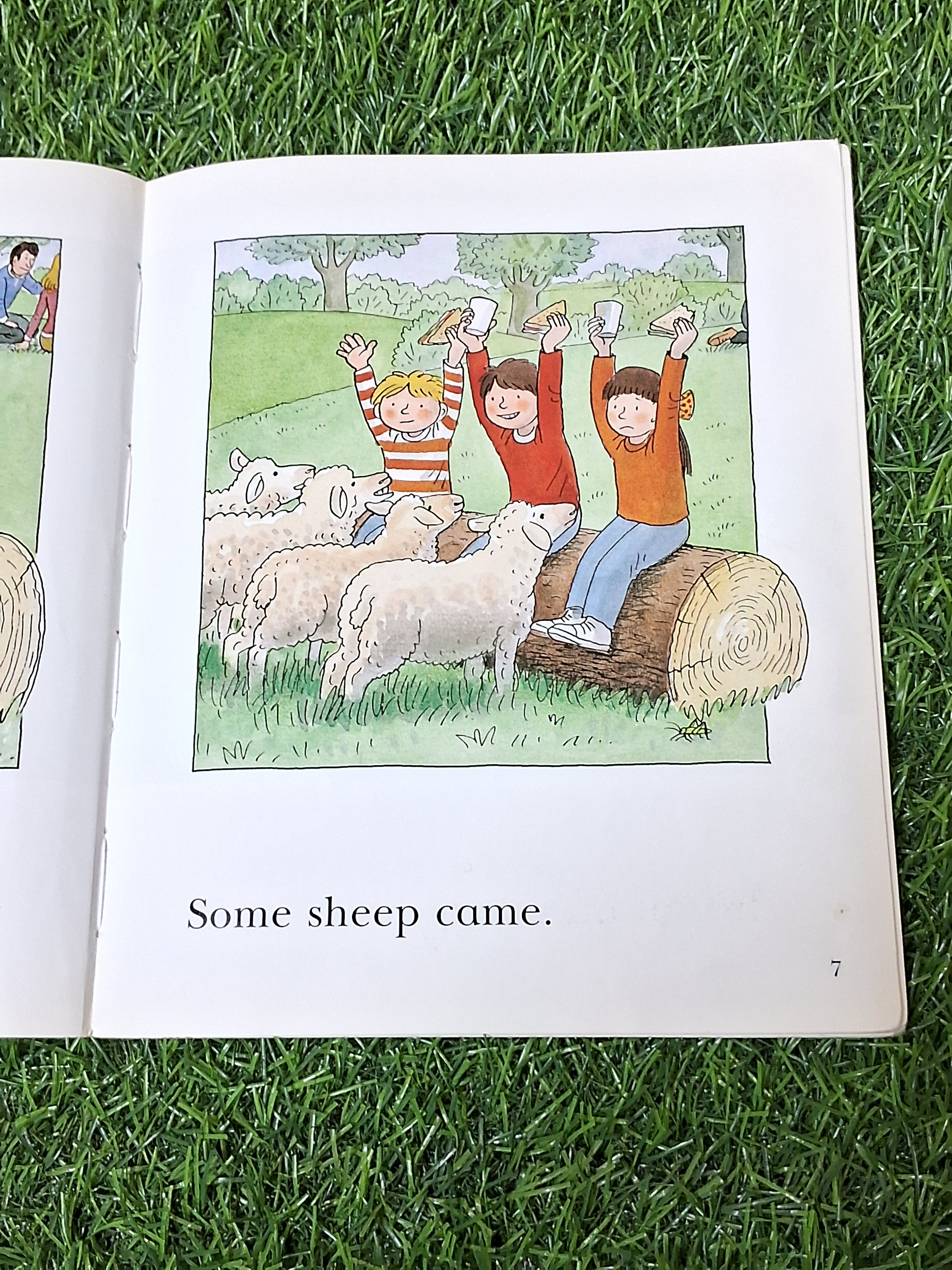 Read at Home - Picnic Time -  Very Good Condition Paperback