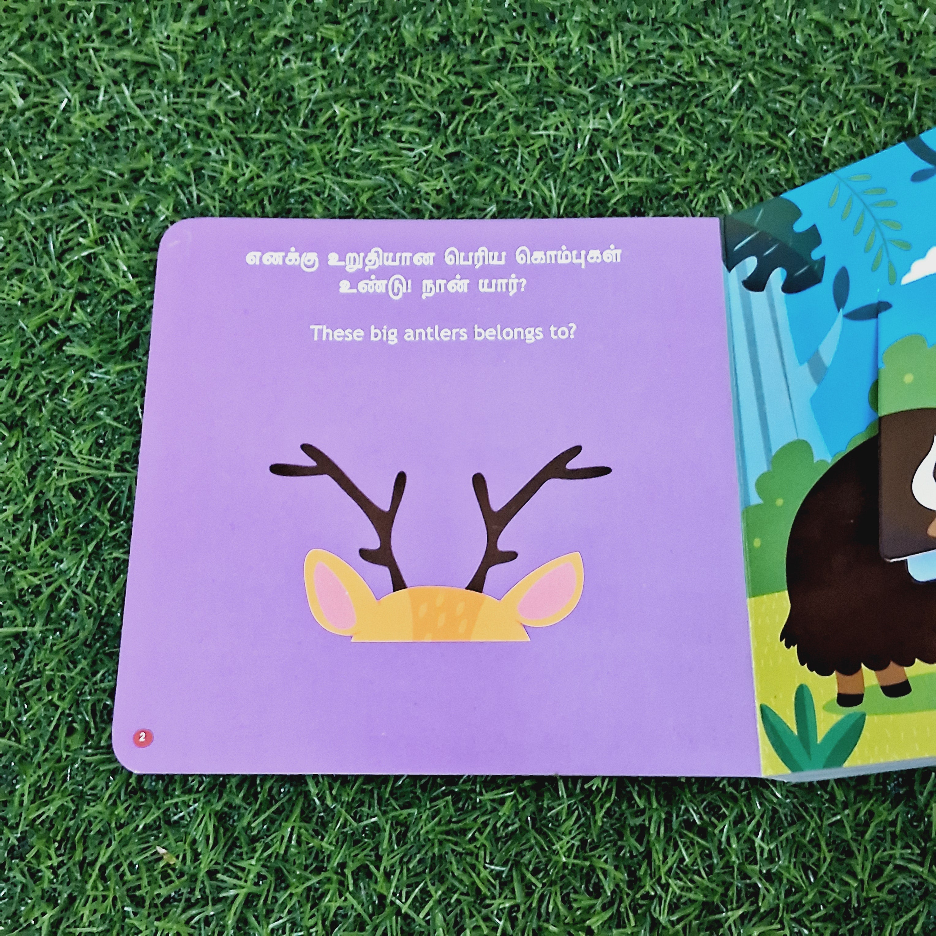 என்னை கண்டுபிடியுங்கள் - To Whom These Belong - English/Tamil Flap Book