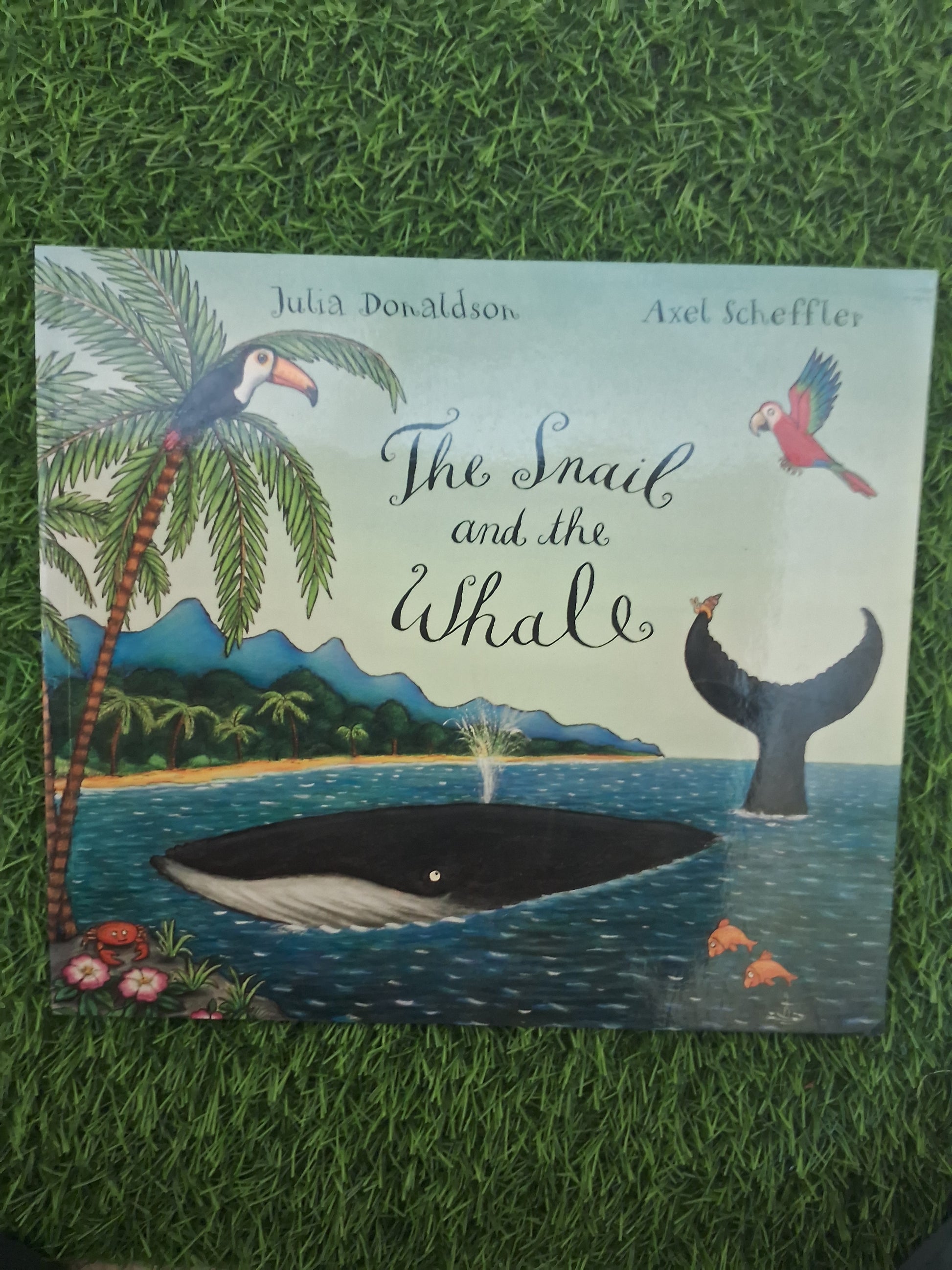 Book of THE SNAIL AND THE WHALE - Excellent Condition Paperback