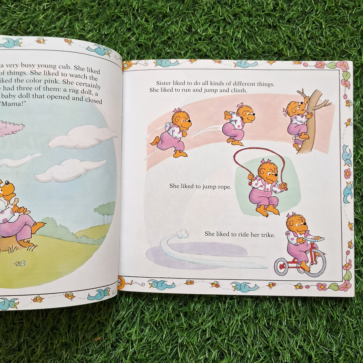 The Birds the bees and the berenstain bears - Good Condition Paperback