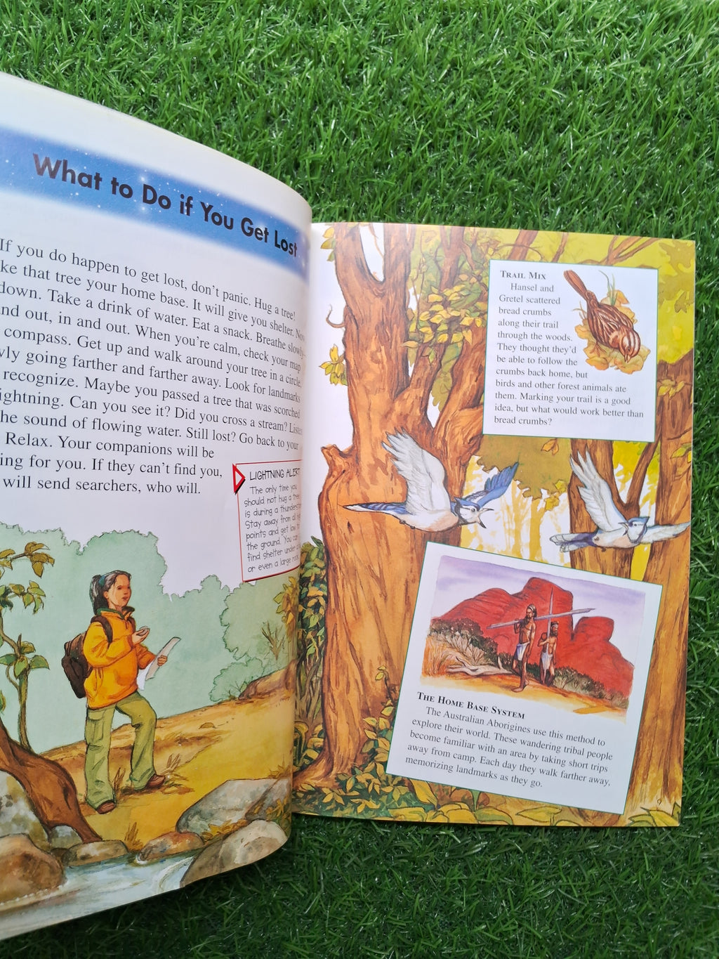 Way to Go -  Good Condition Paperback
