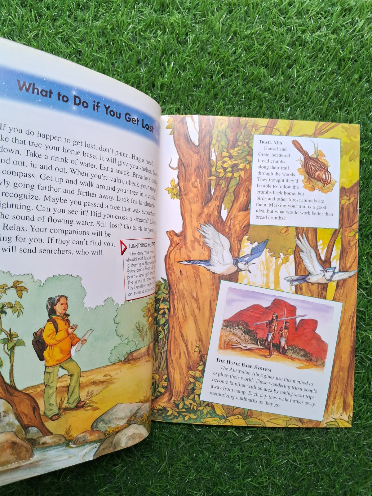 Way to Go -  Good Condition Paperback