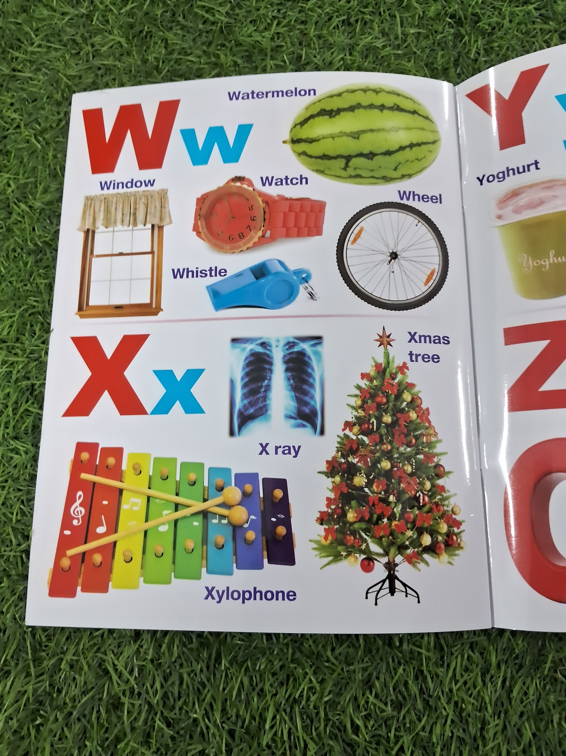 MY FIRST BOOK OF ALPHABET - Large Paperback- TearProof