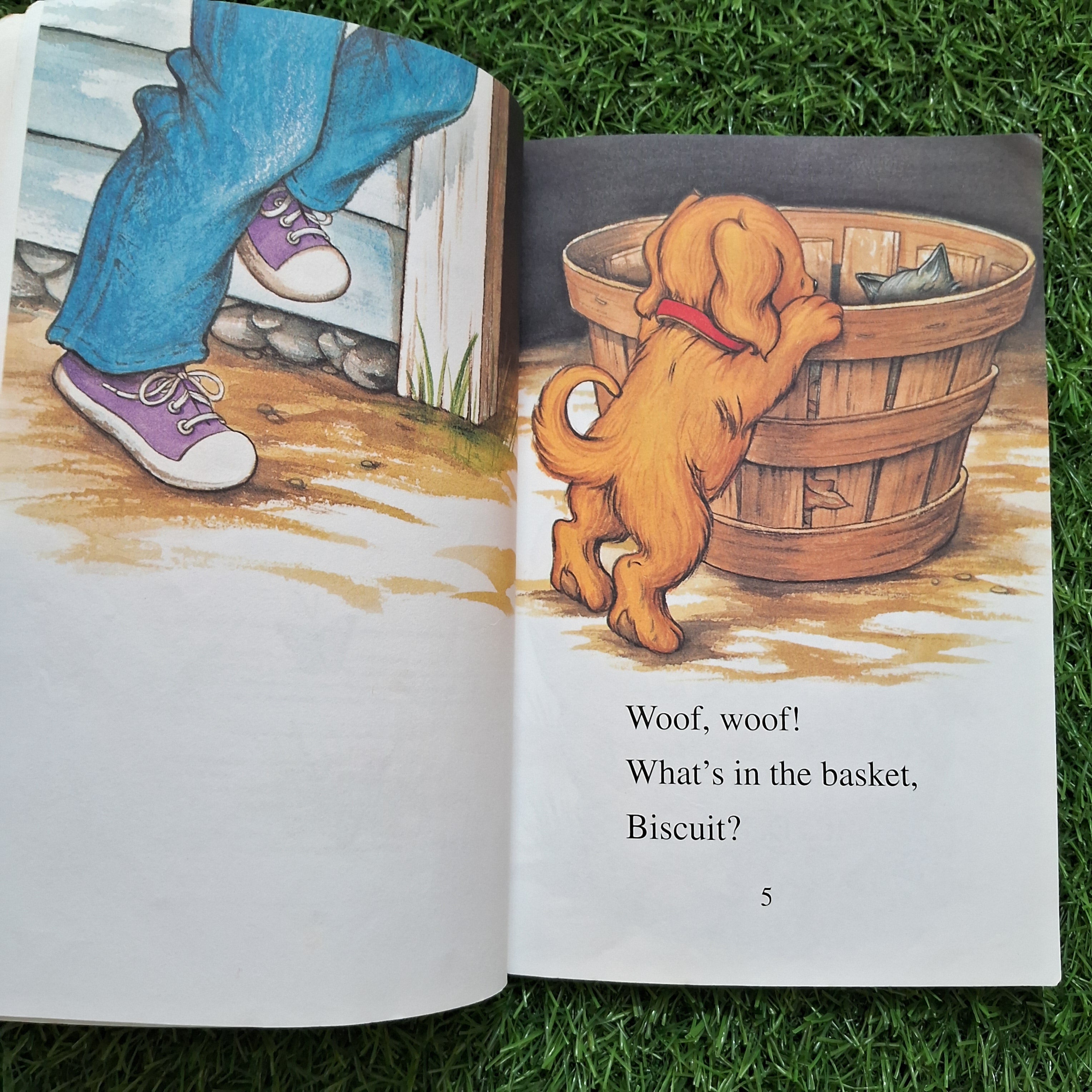 Biscuit want to play - Average Condition Paperback