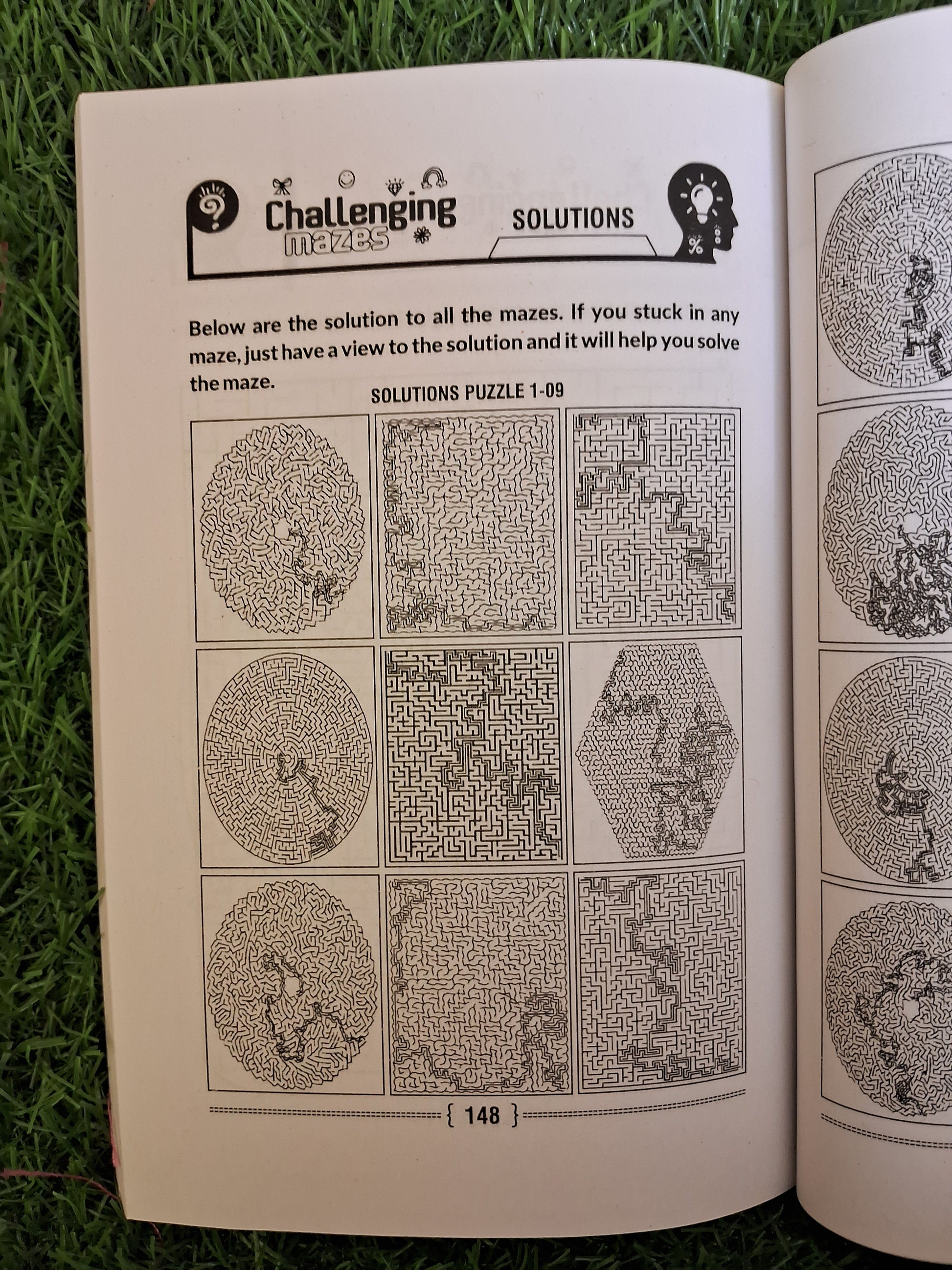 Challenging mazes - Challenging Books