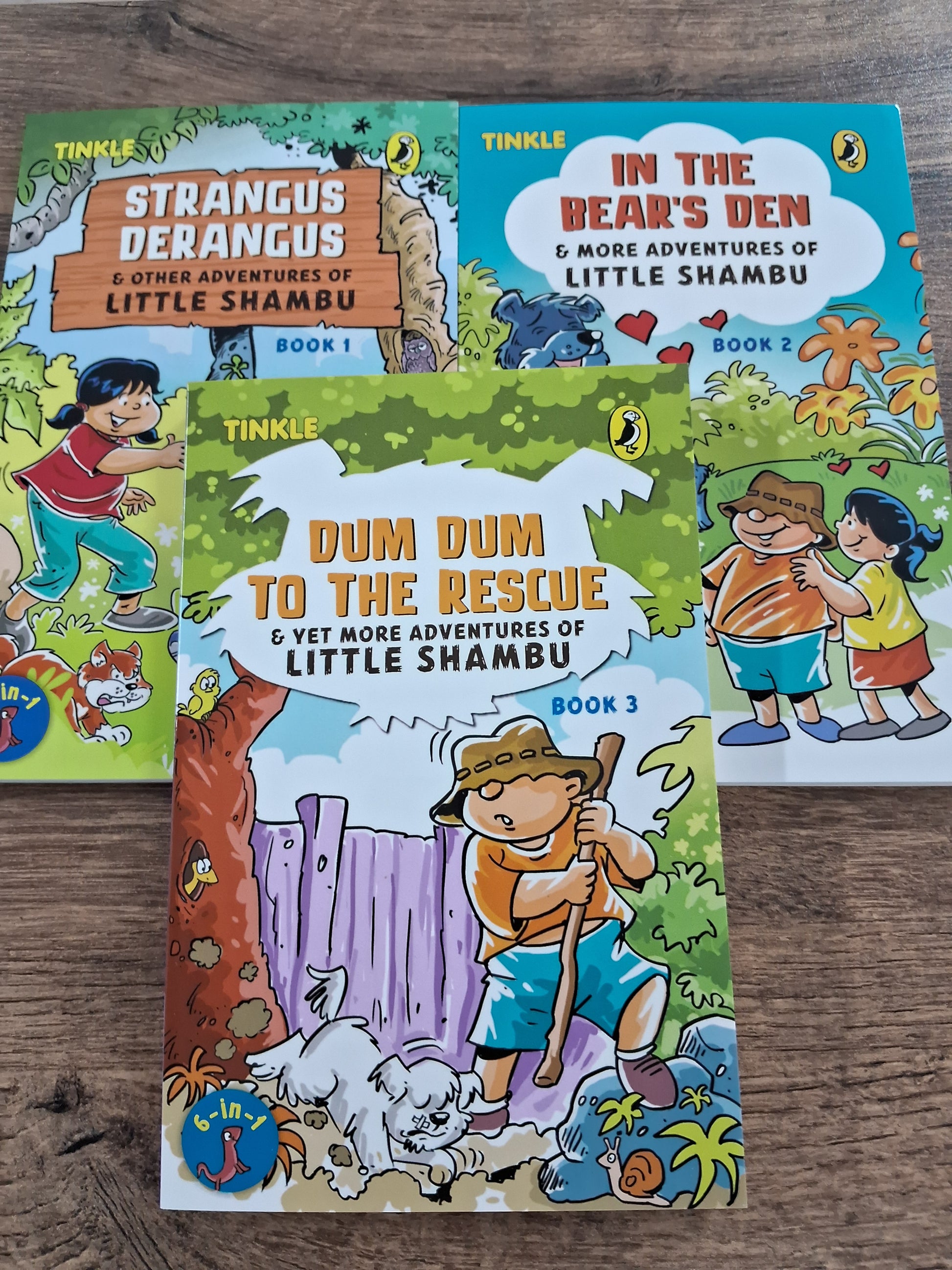Adventures of Little Shambu - a set of 3 books