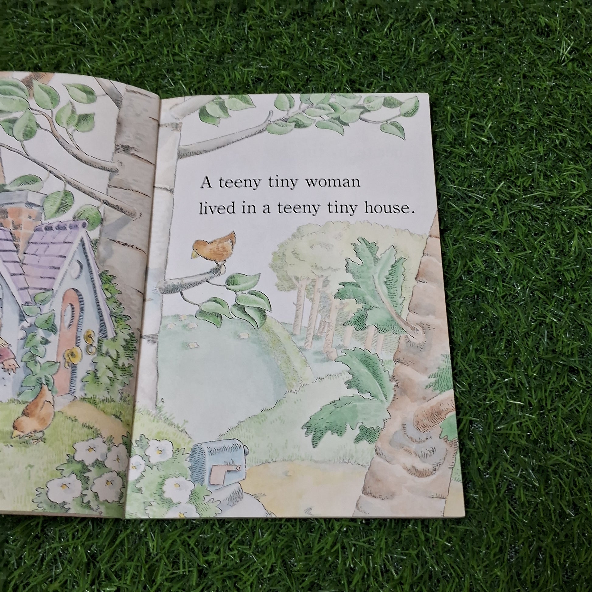 The Teeny Tiny woman - Good Condition Paperback