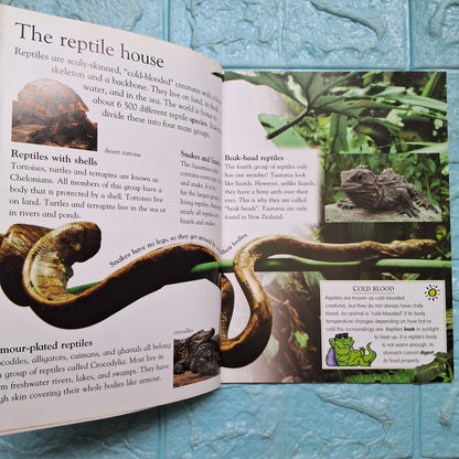 Reptiles - Very Good Condition Paperback
