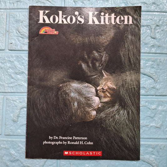 Koko's Kitten - Good Condition Paperback