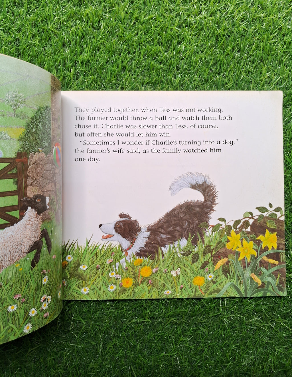 Charlie and tess -  Good Condition Paperback