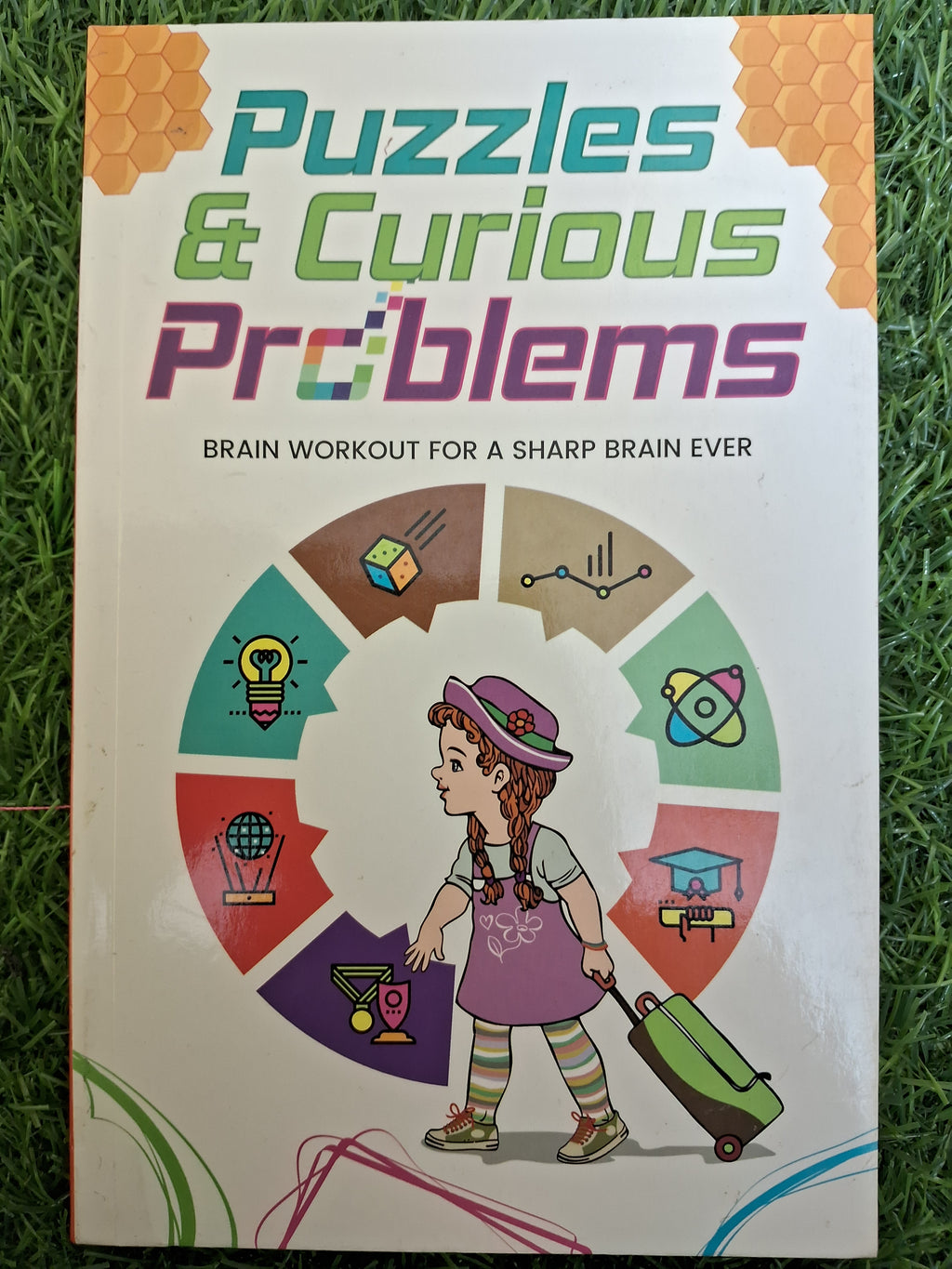 Puzzles & curious problems - Challenging Books