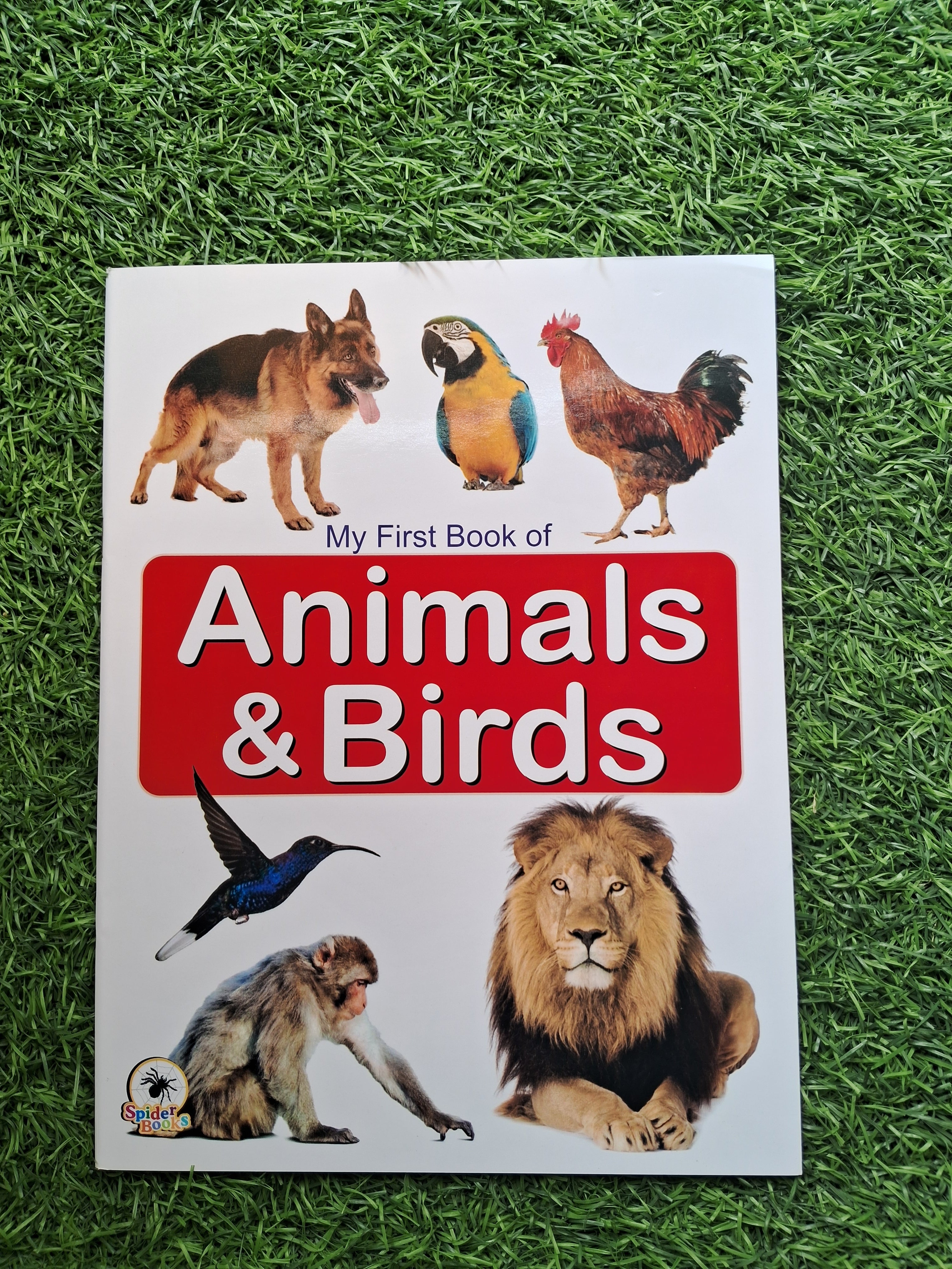 My First Book of Animals and Birds - Large Paperback- Laminated