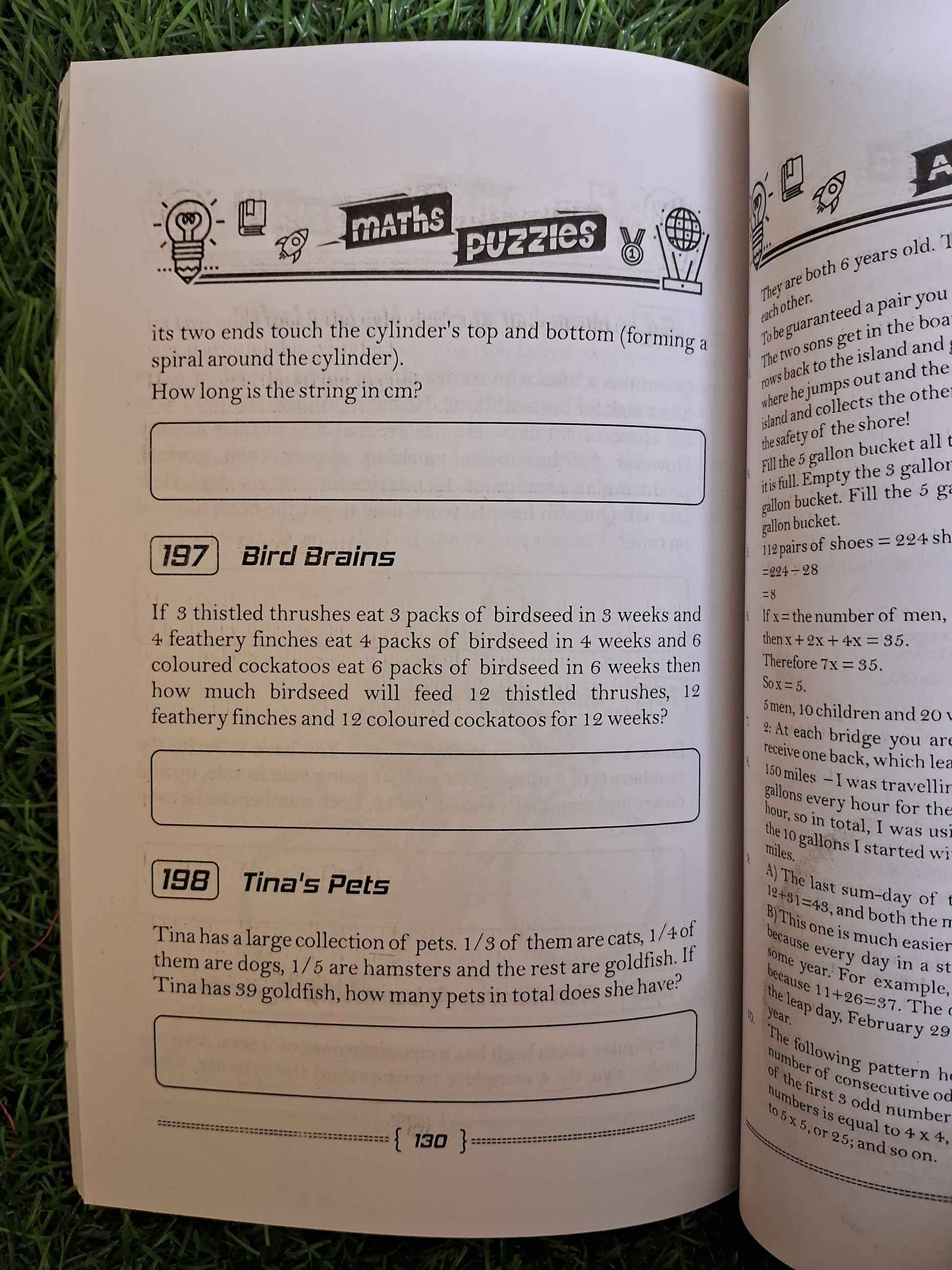 Maths puzzles - Challenging Books