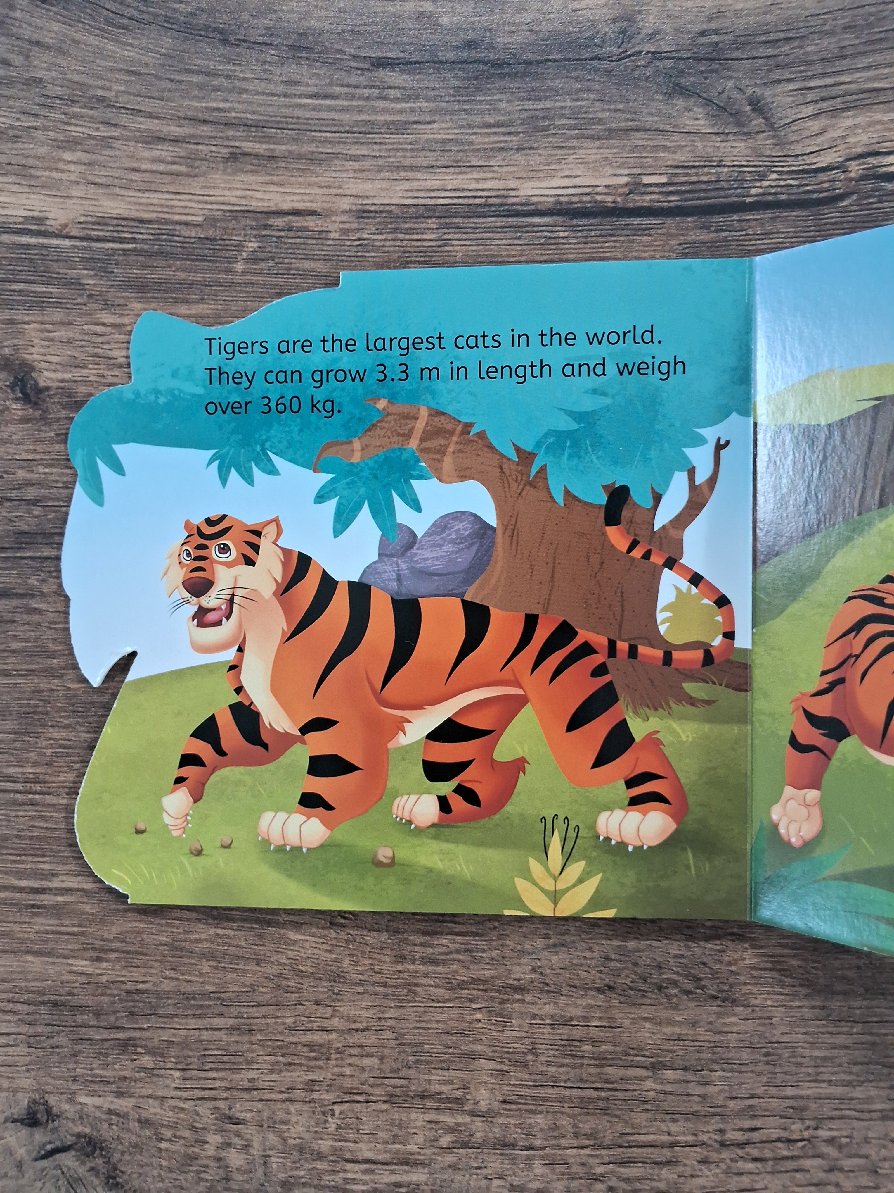 Tiger - Shaped Board Book