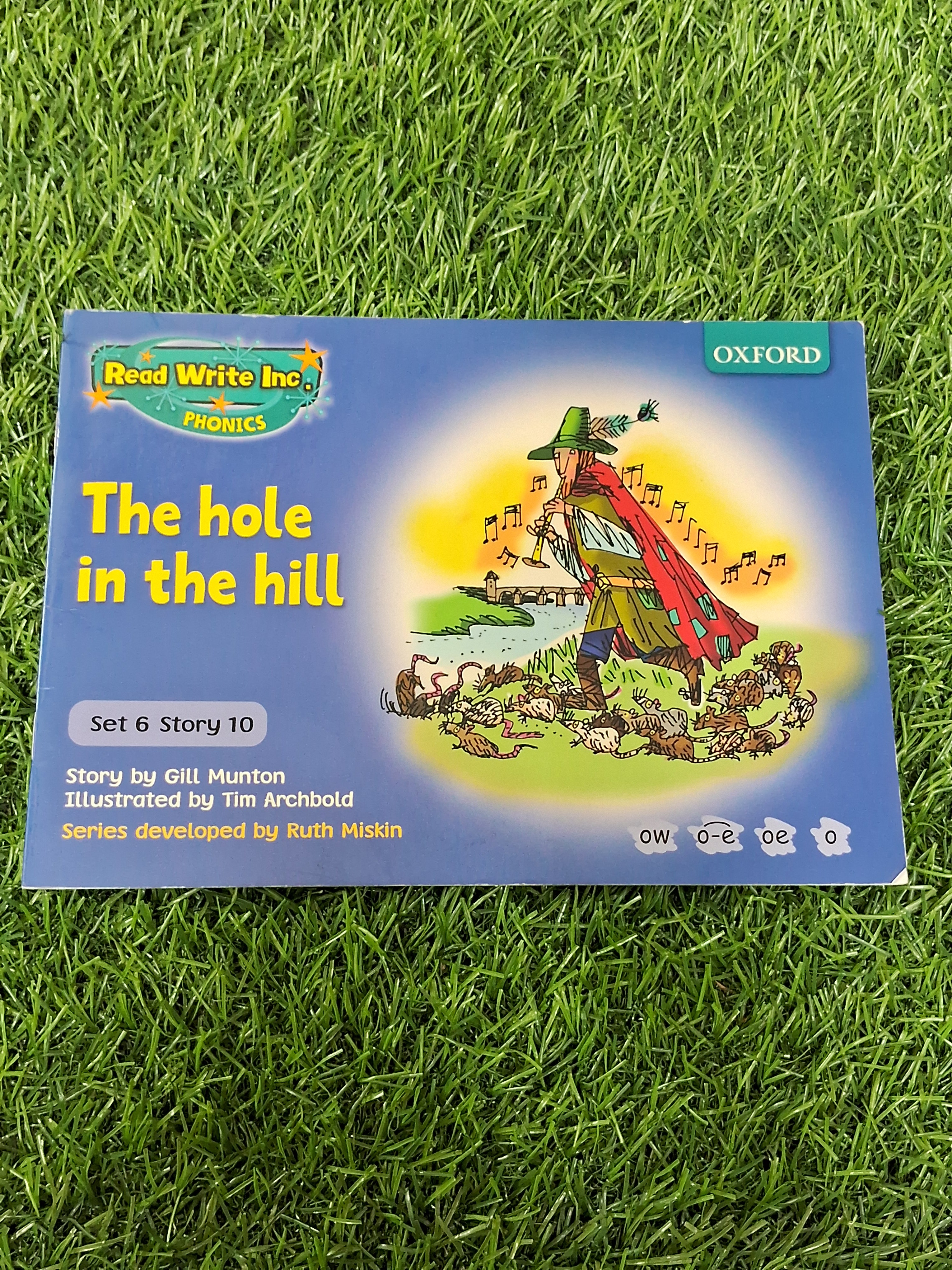 Phonics - The hole in the hill -  Very Good Condition Paperback