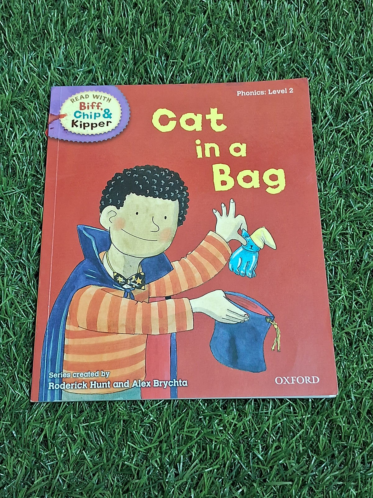 READ WITH BIFF CHIP & KIPPER - CAT IN A BAG - Excellent Condition Paperback
