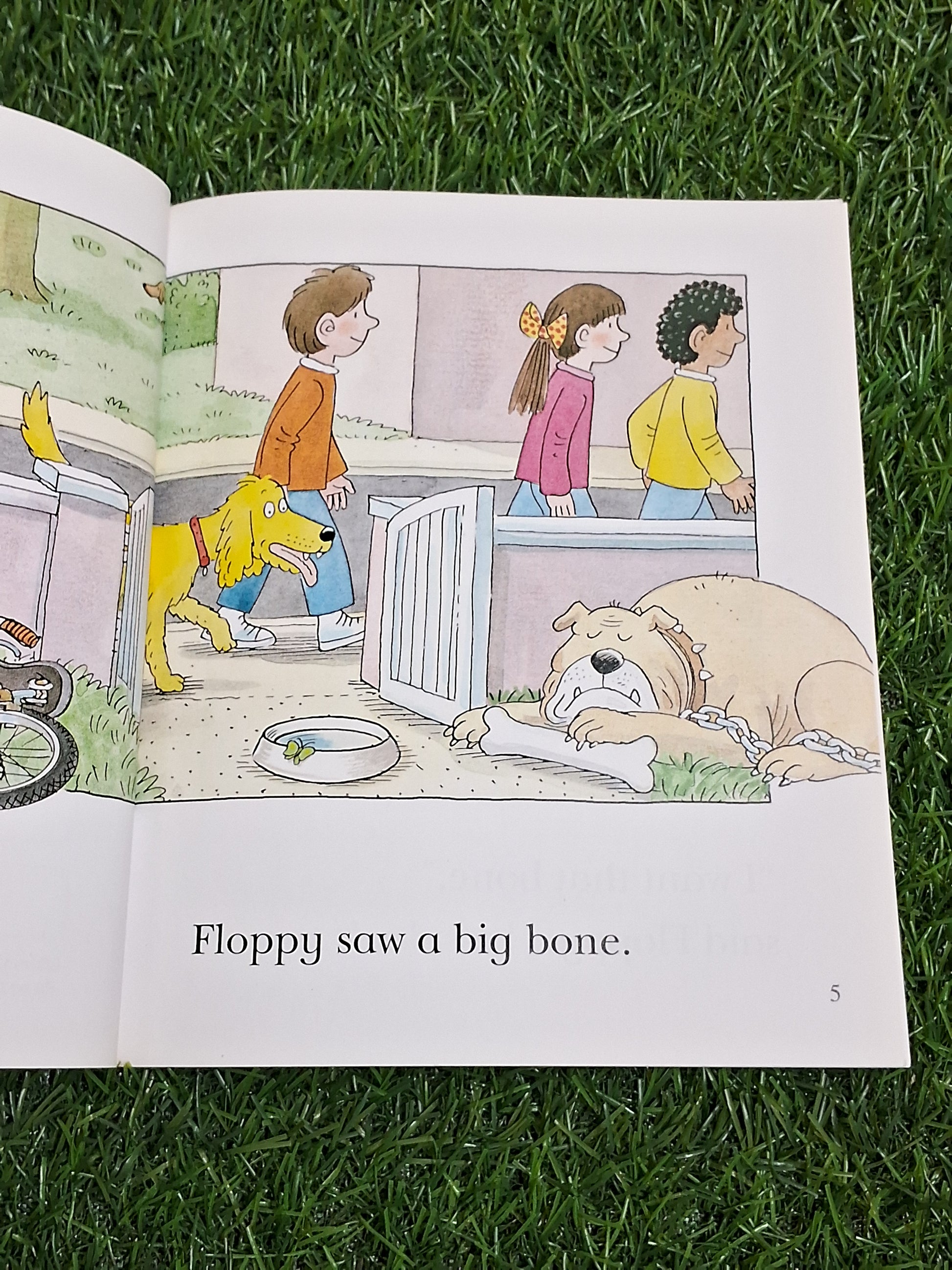 READ WITH BIFF CHIP & KIPPER - FLOPPY AND THE BONE - Excellent Condition Paperback
