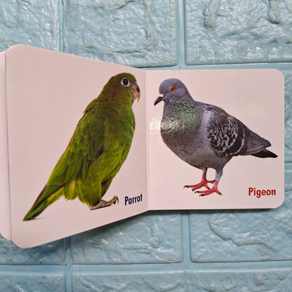 My Little Book of Domestic animals.