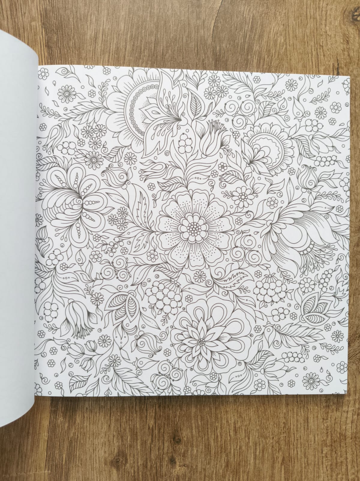 Grown Ups Colouring Book
