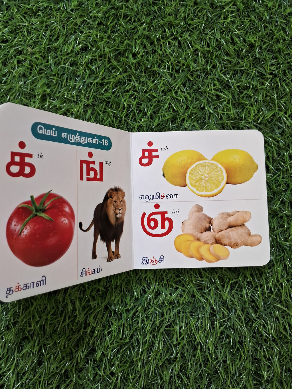 Tamil Arichuvadi - Little Board Book