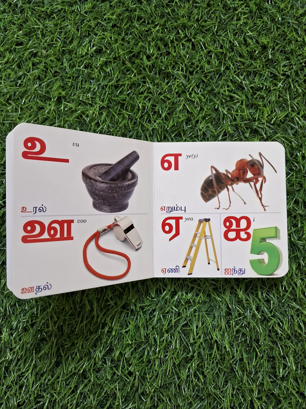 Tamil Arichuvadi - Little Board Book
