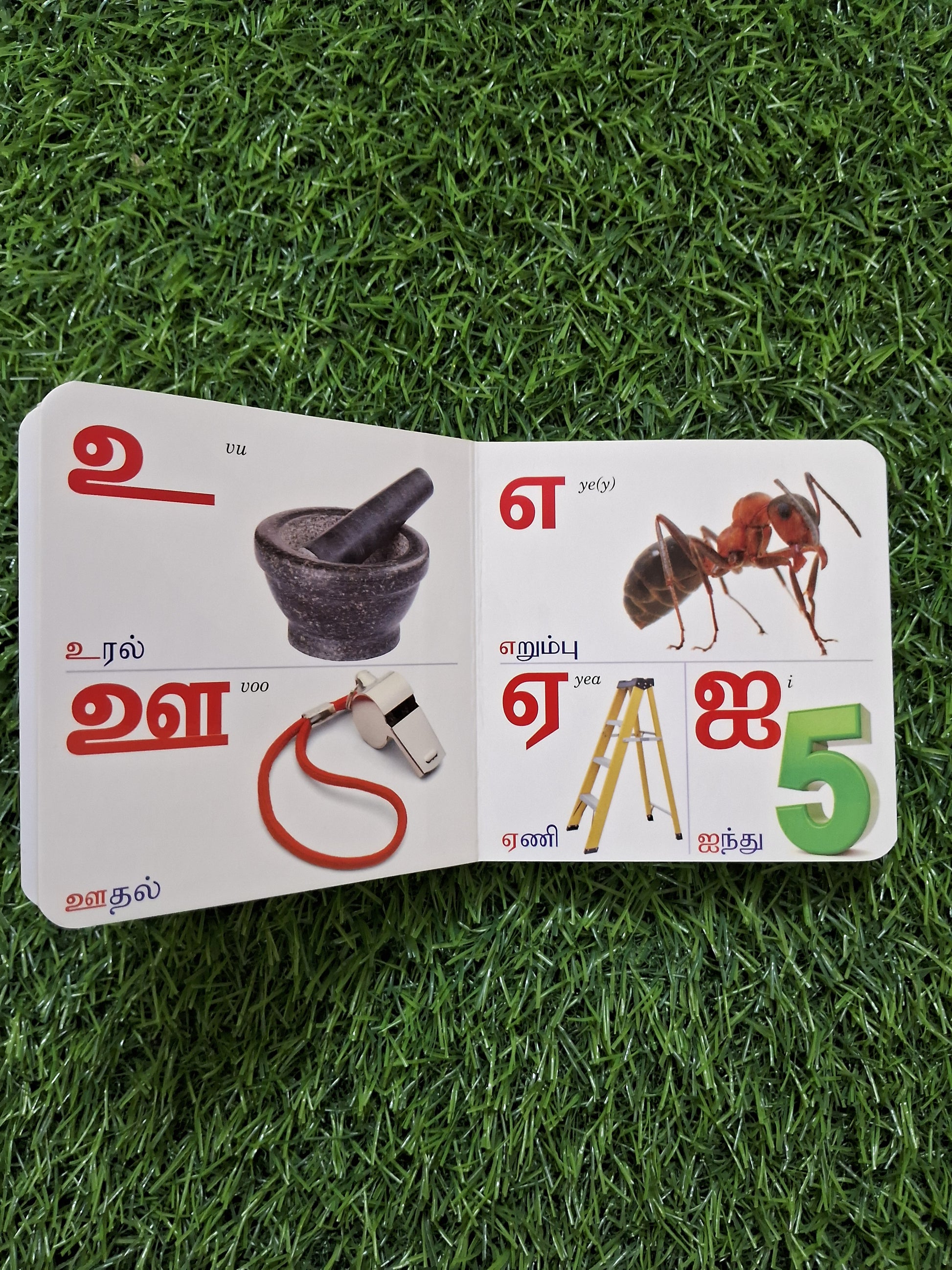 Tamil Arichuvadi - Little Board Book