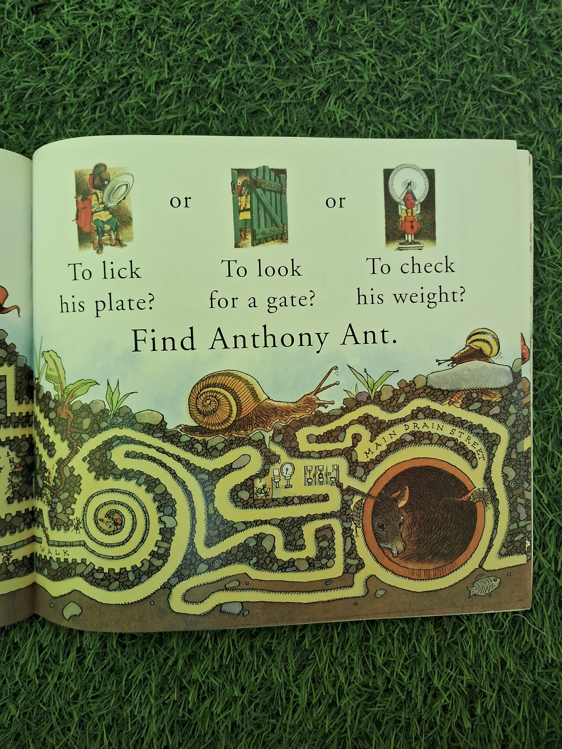 FIND ANTHONY ANT - Excellent Condition Paperback
