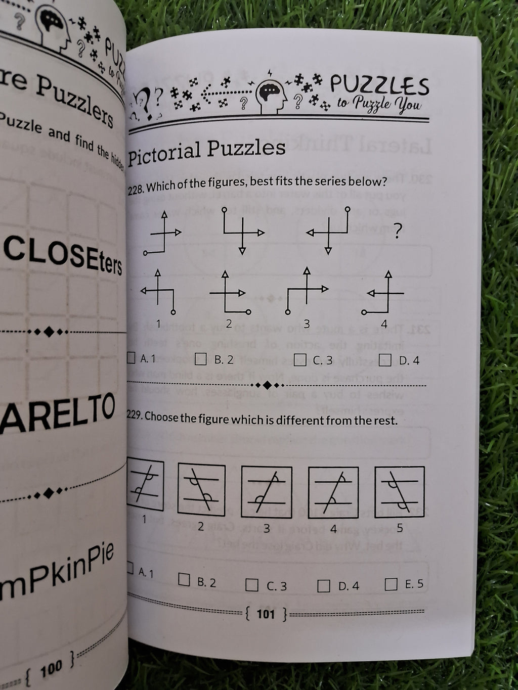 Puzzles to puzzle you - Challenging Books