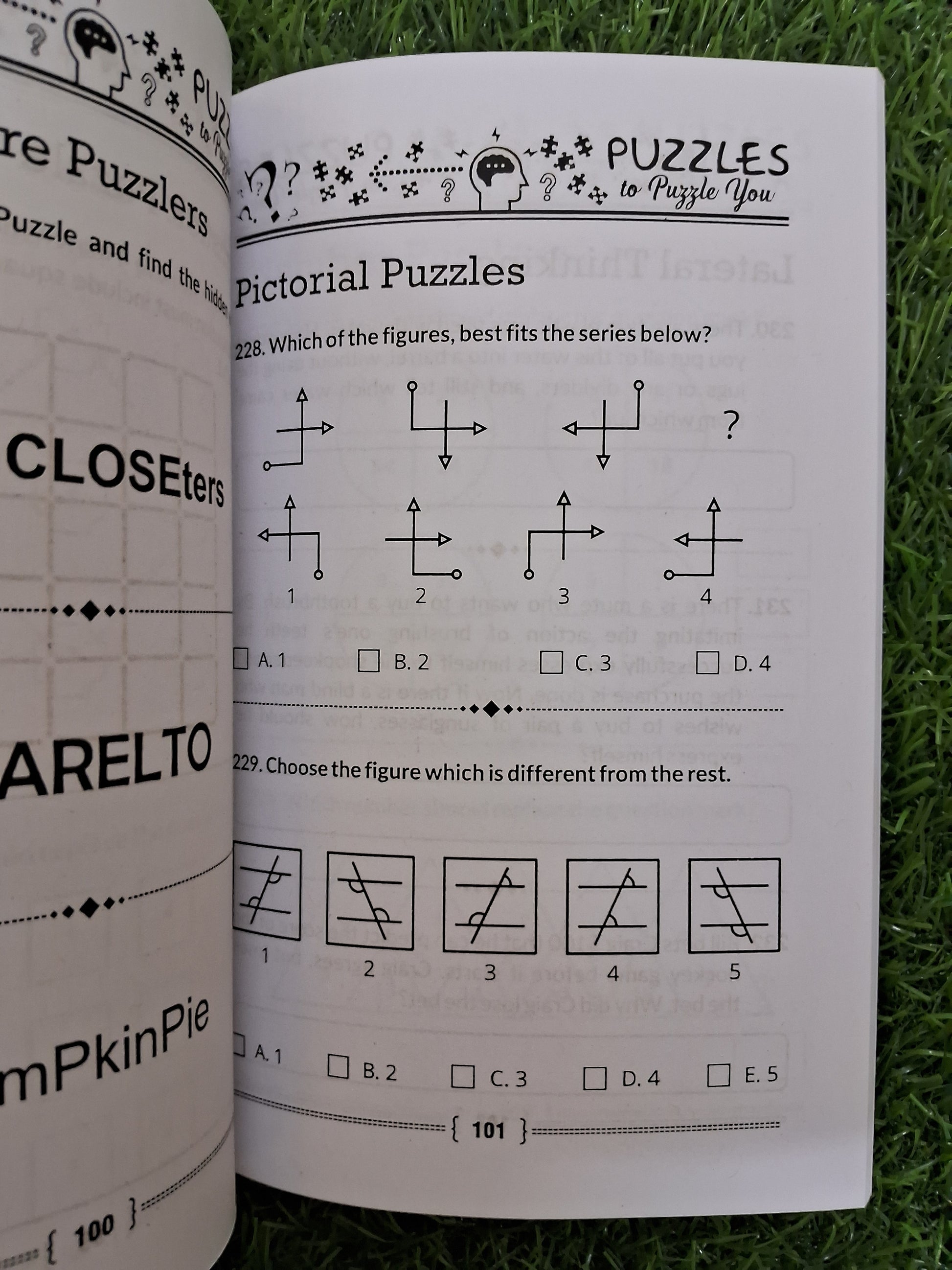 Puzzles to puzzle you - Challenging Books