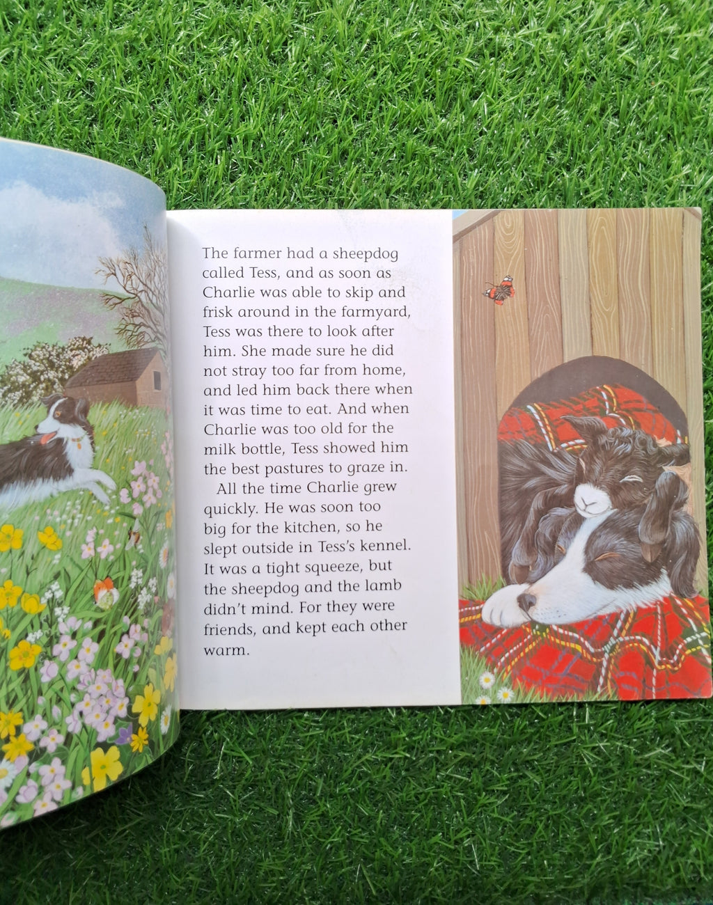 Charlie and tess -  Good Condition Paperback