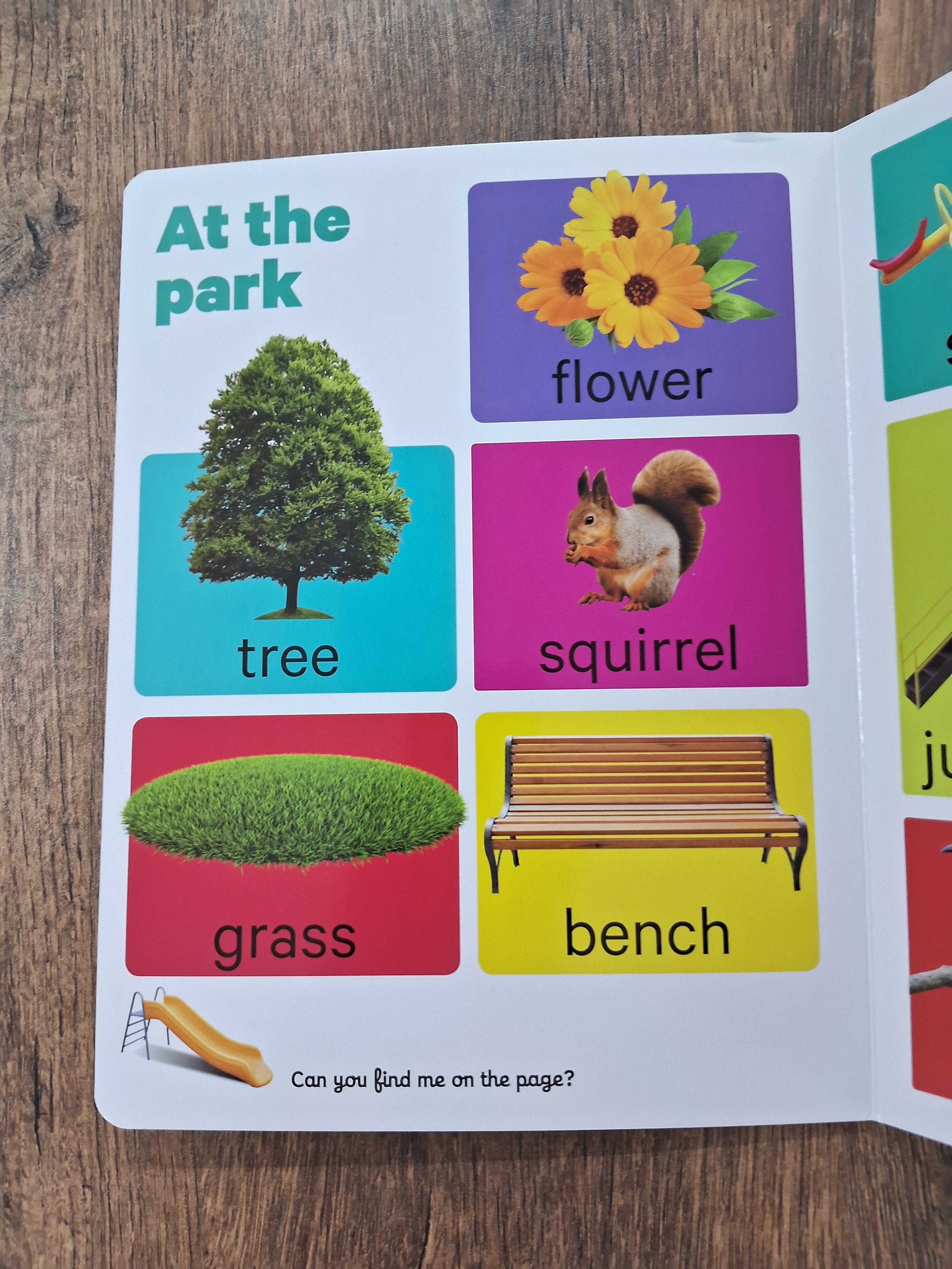 First Words - Big Board Book
