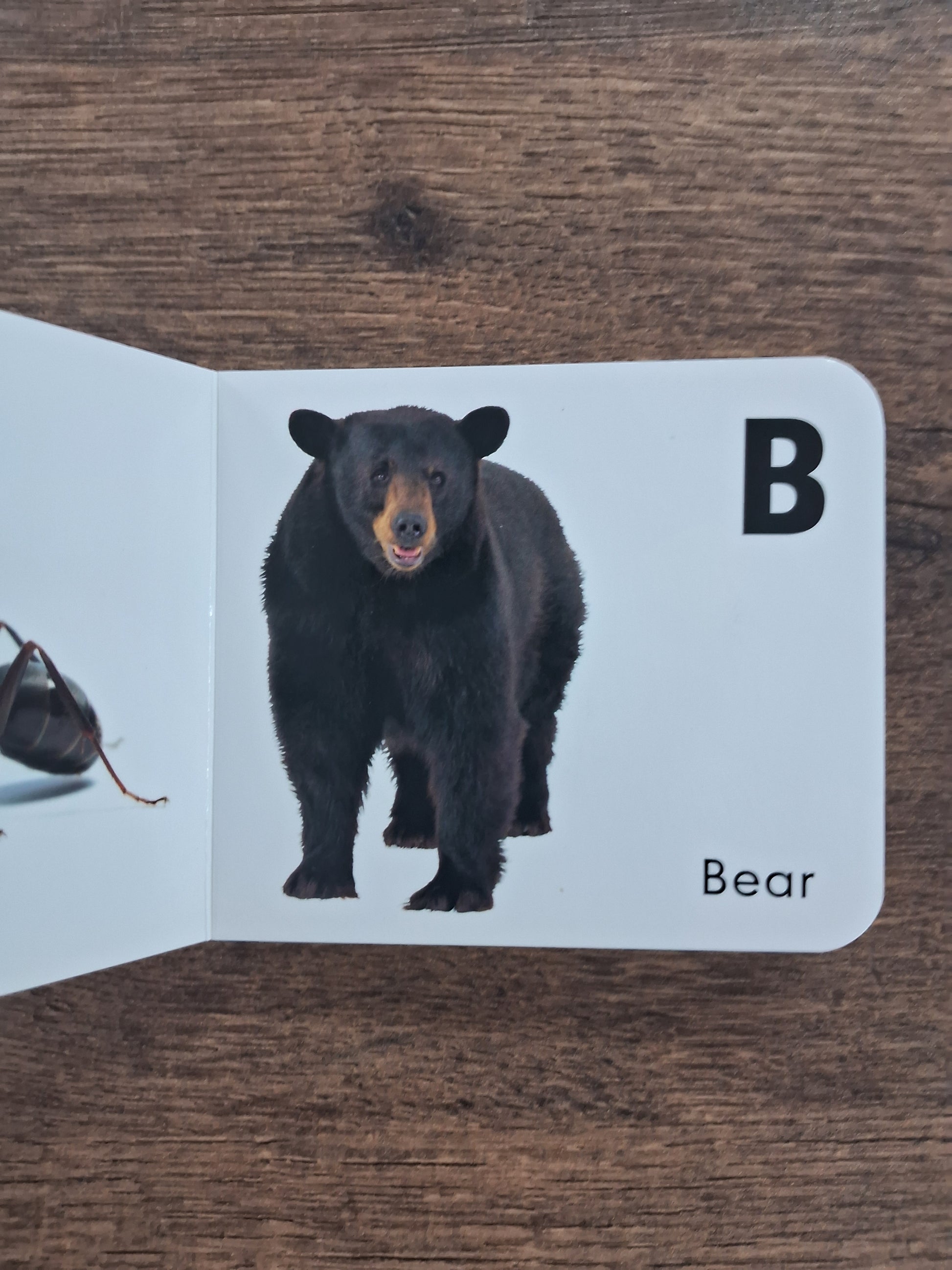 A To Z Upper Case - Board Book