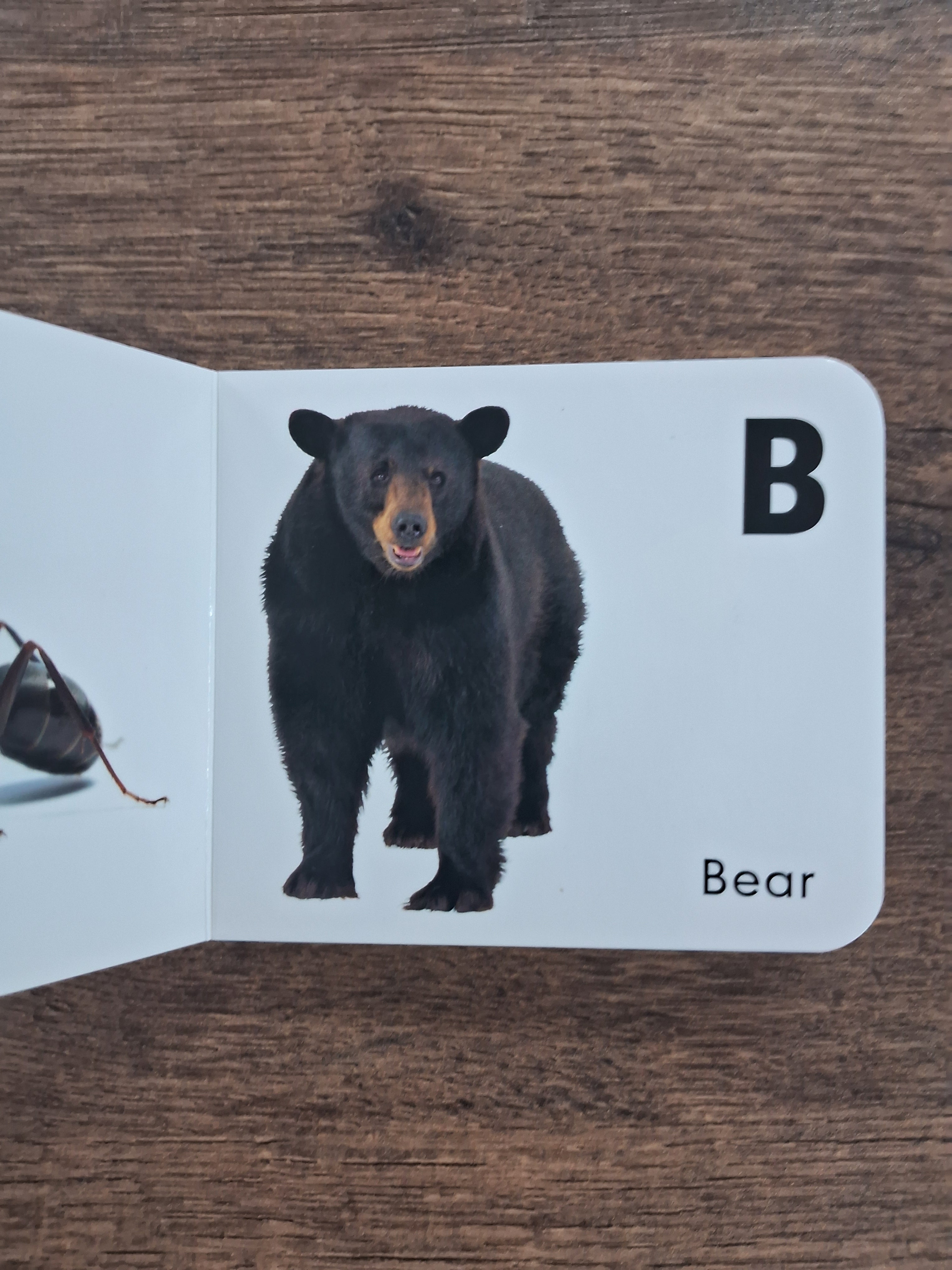 A To Z Upper Case - Board Book