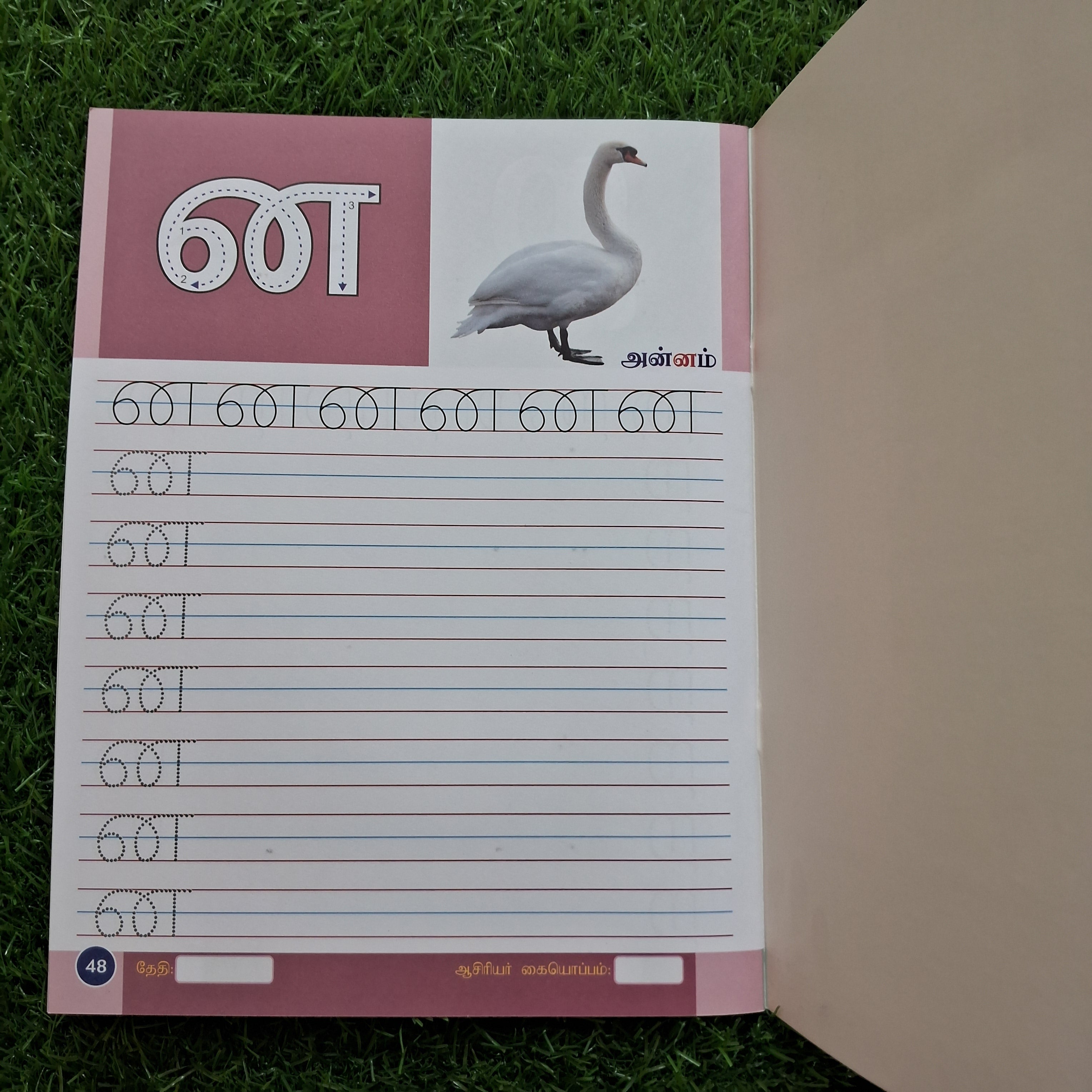 Tamil Ezhuthu Payirchi