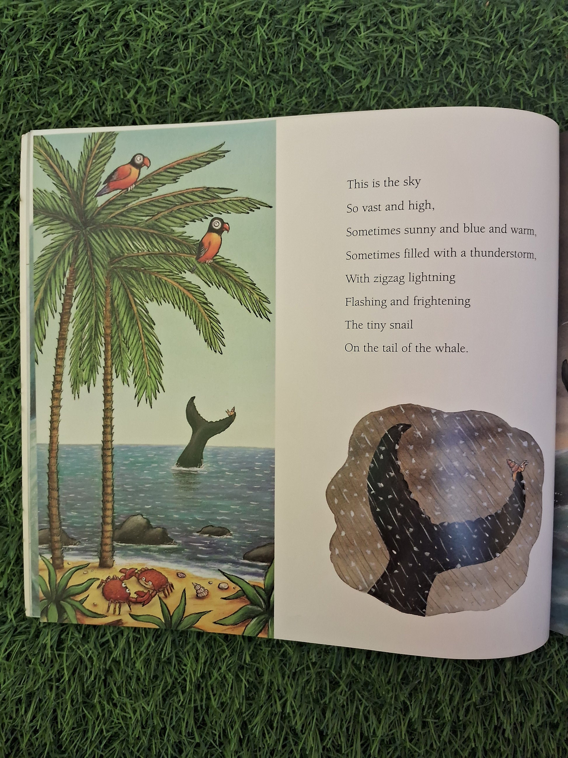 Book of THE SNAIL AND THE WHALE - Excellent Condition Paperback