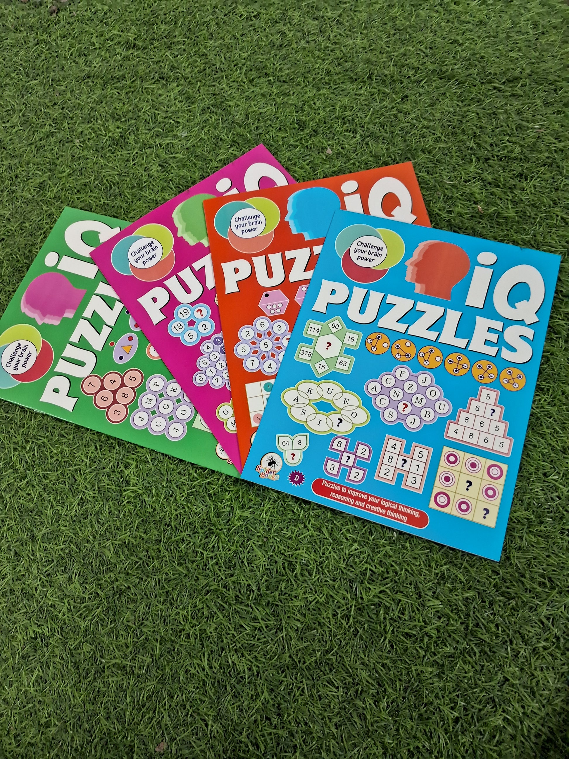 IQ Puzzles - Single Book