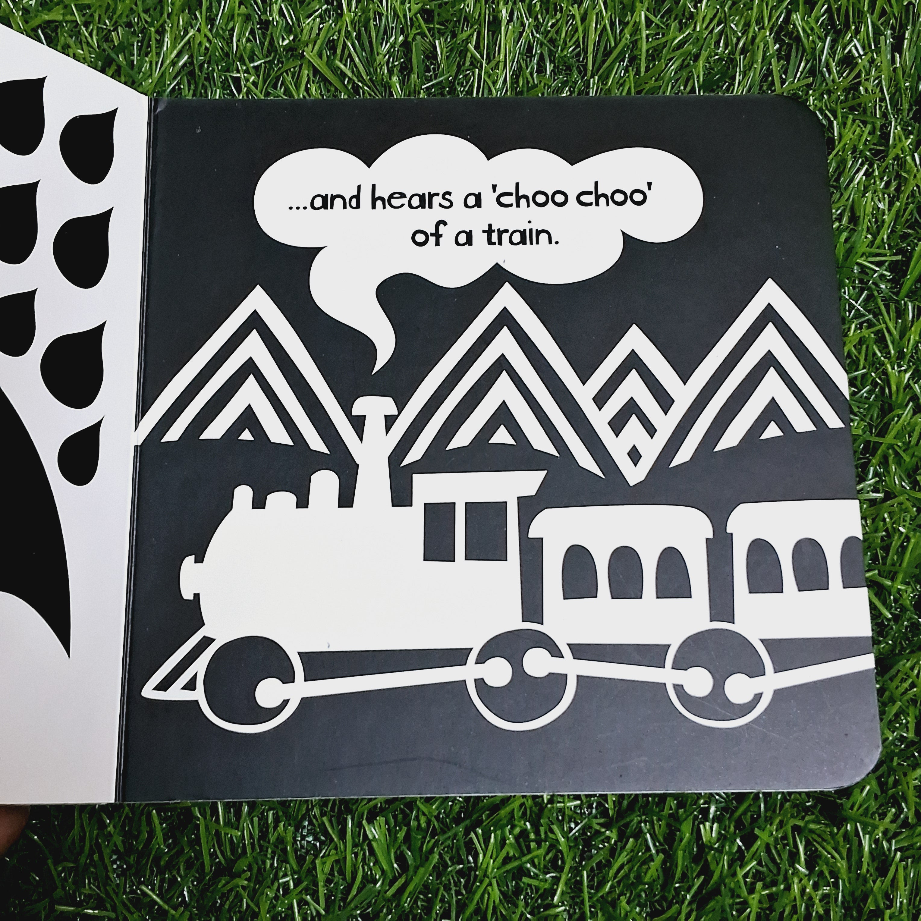 Black and white world - Excellent Condition Board Book