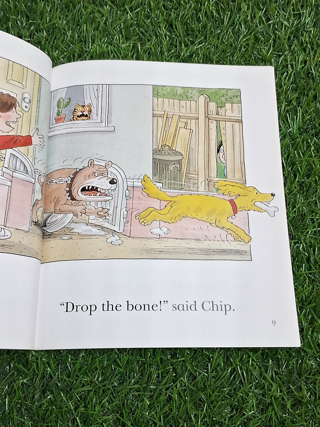READ WITH BIFF CHIP & KIPPER - FLOPPY AND THE BONE - Excellent Condition Paperback