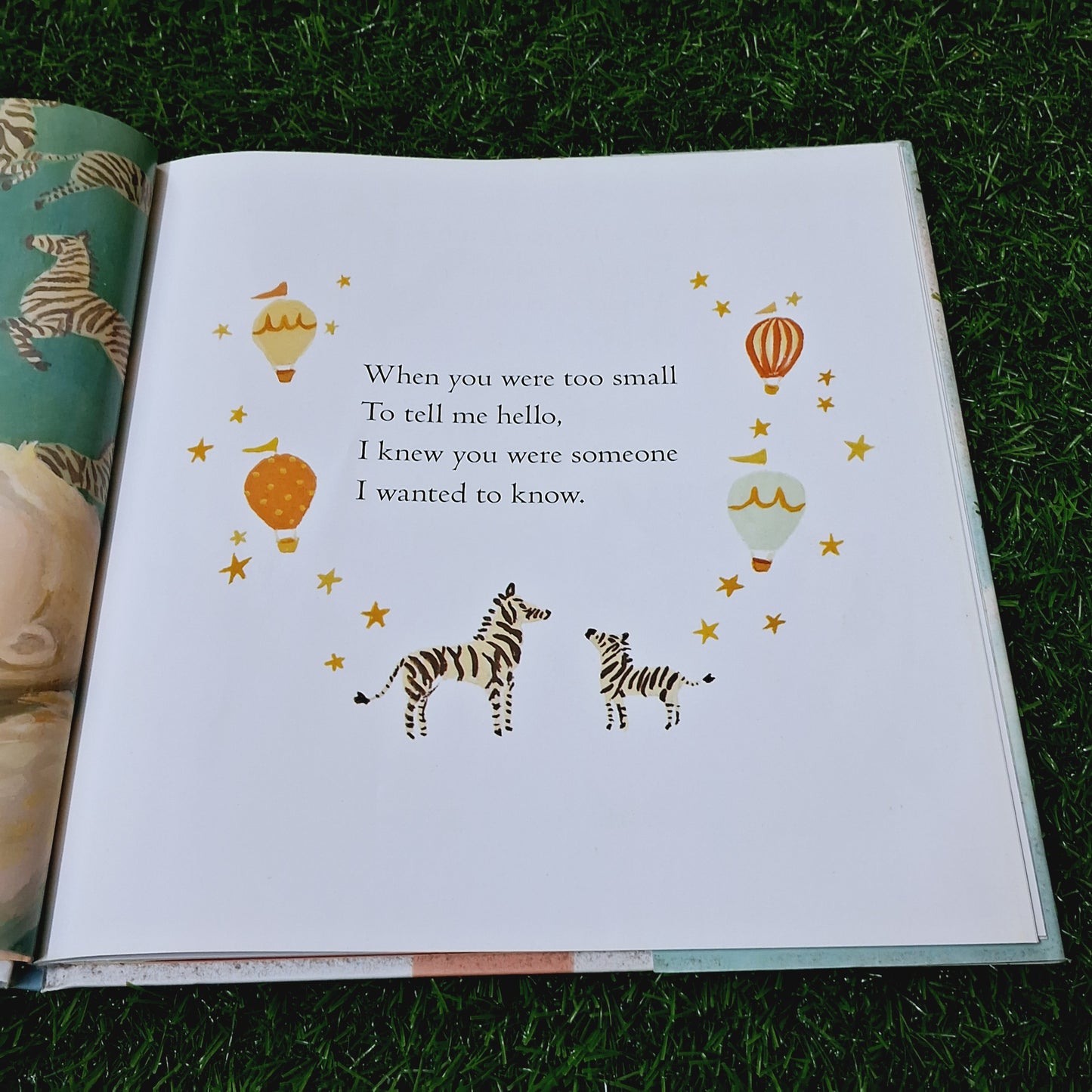 The wonderful things you will be - Excellent Condition Hardcover
