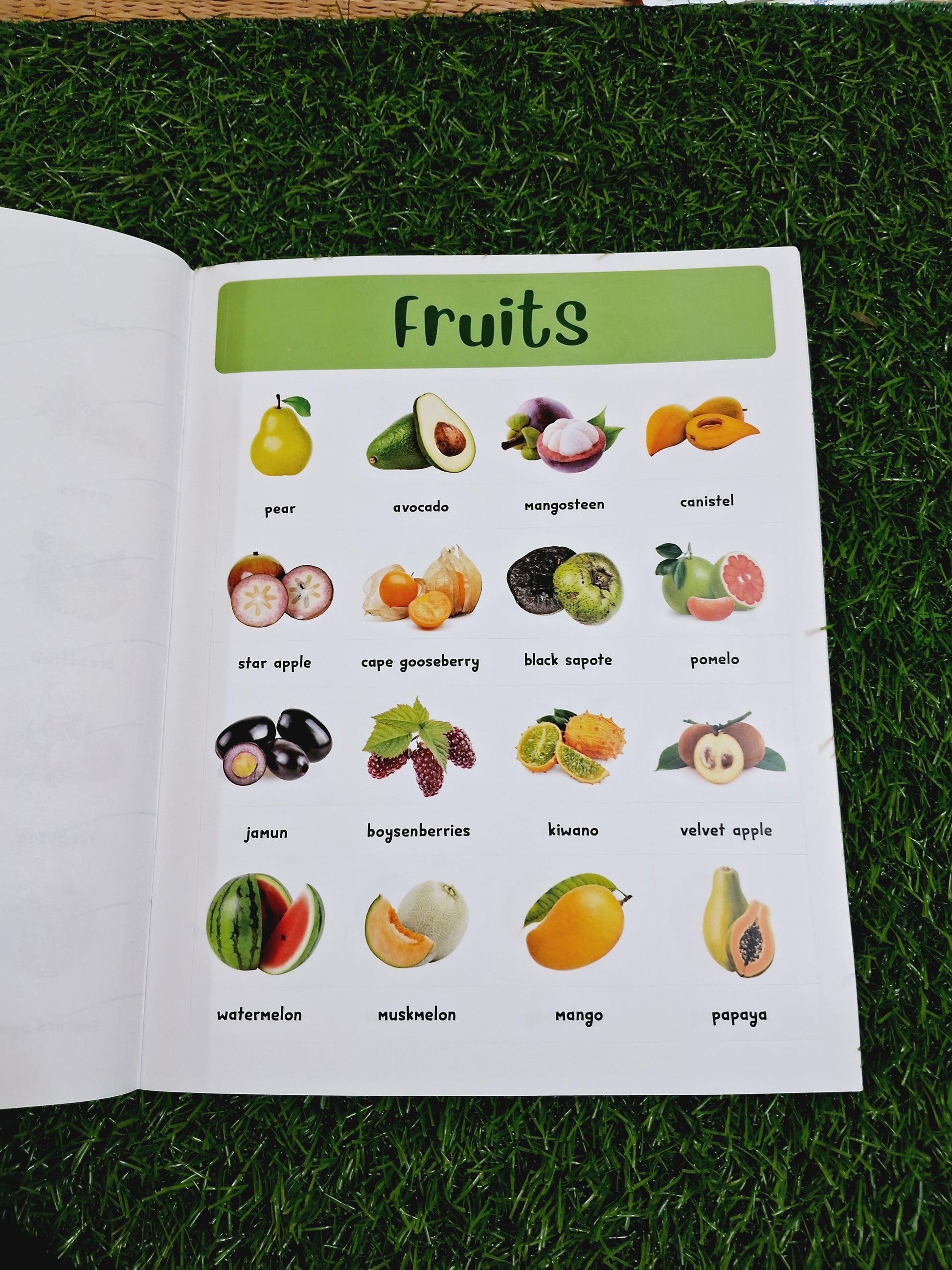 400+ Fruits & Vegetables Stickers